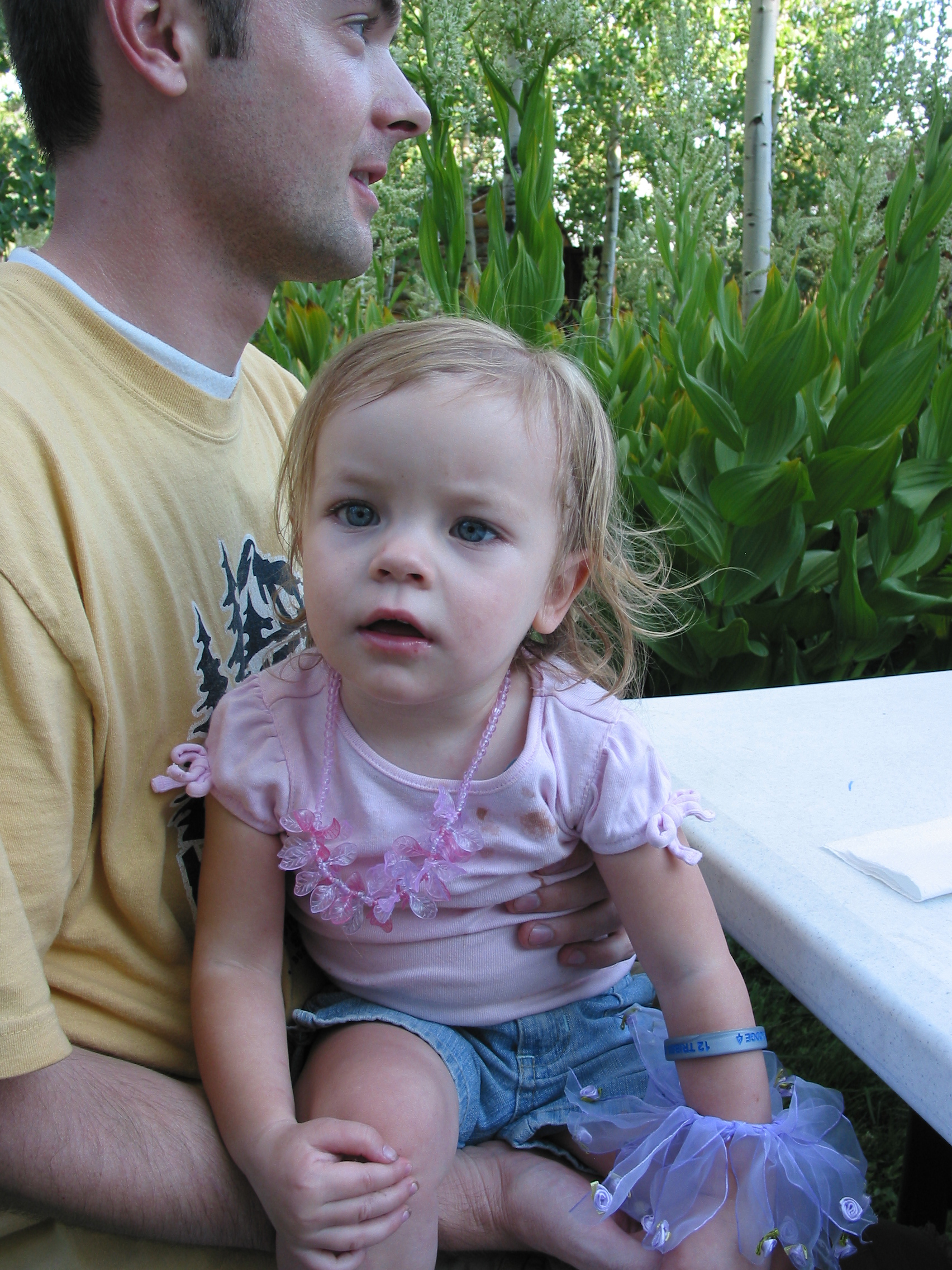 2006 Israelsen Reunion