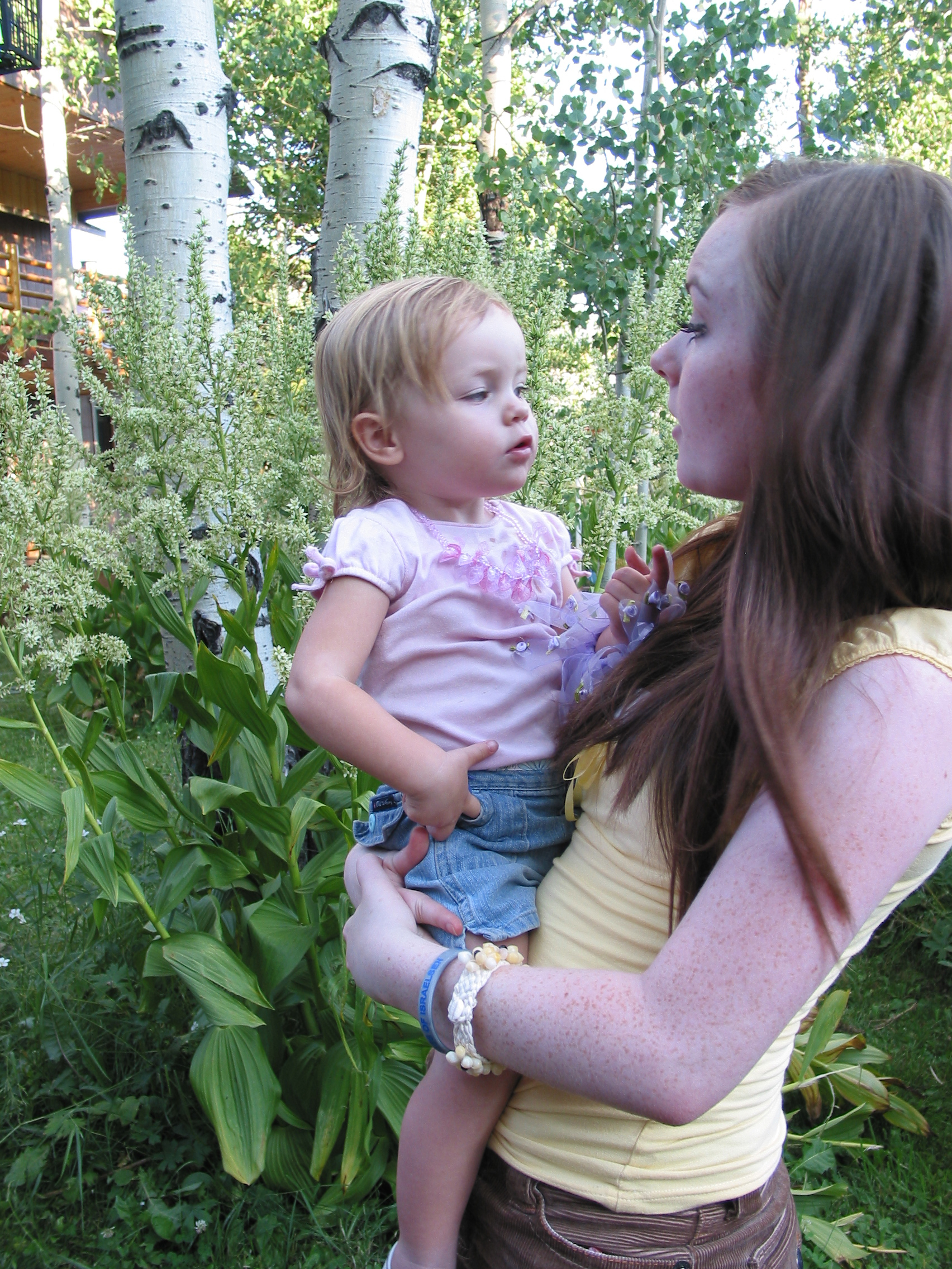 2006 Israelsen Reunion