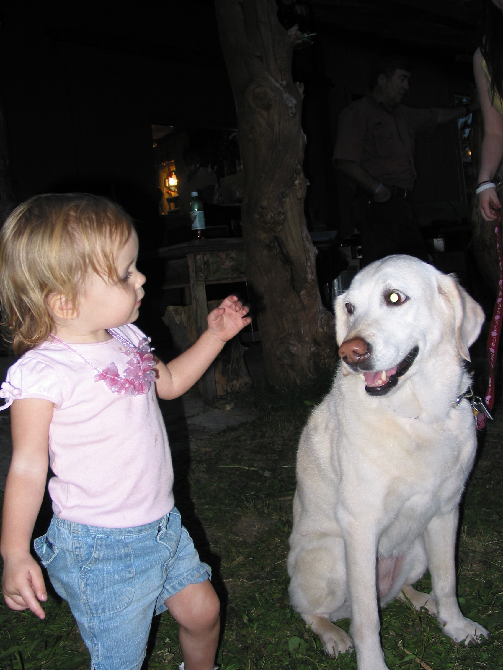 2006 Israelsen Reunion
