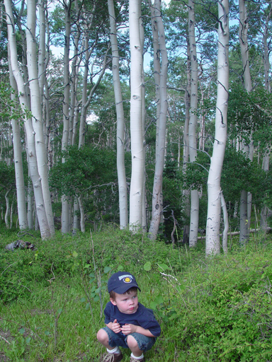 Mitchell Reunion 2006 - Parowan, Utah