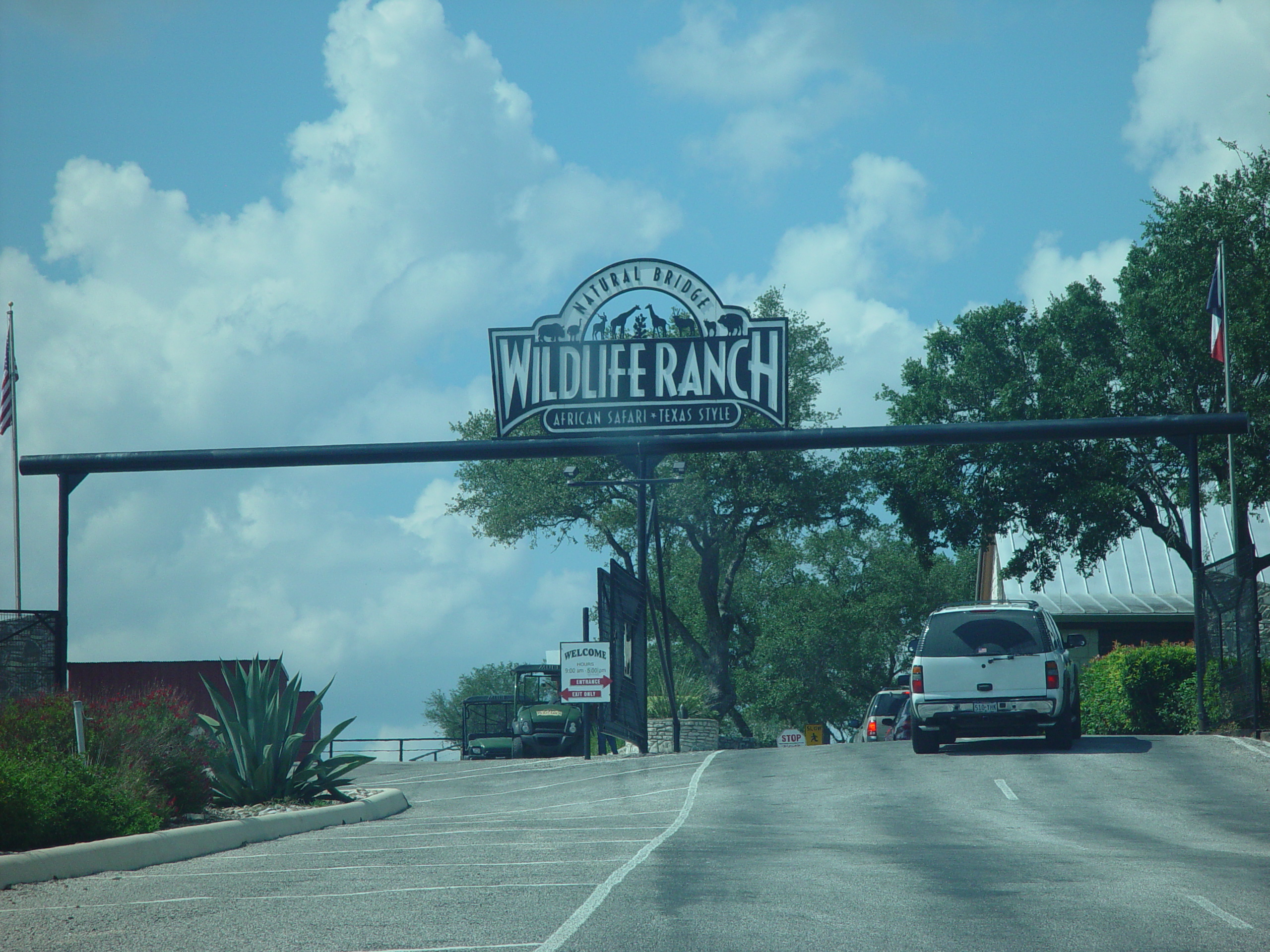 Grandma & Grandpa Ballam Come to Visit (Austin Bats, Natural Bridge Wildlife Ranch - African Safari Texas Style, Riverwalk)