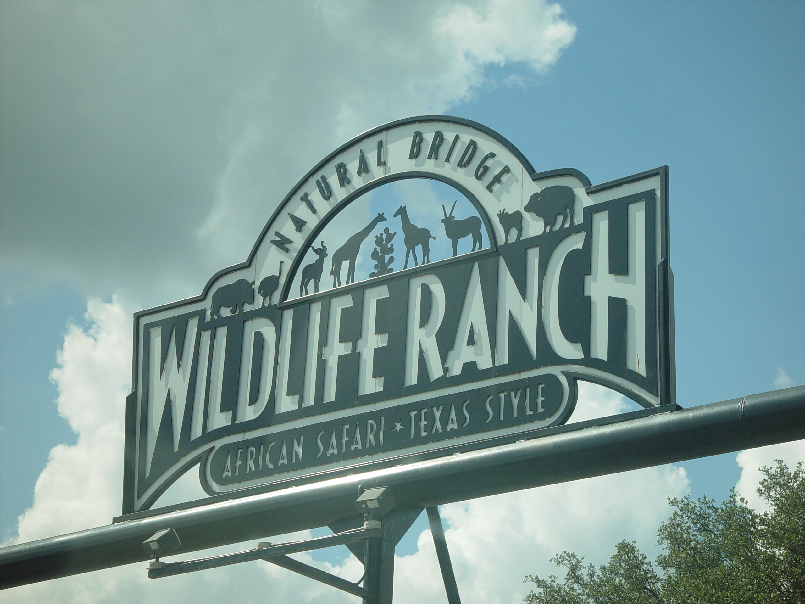 Grandma & Grandpa Ballam Come to Visit (Austin Bats, Natural Bridge Wildlife Ranch - African Safari Texas Style, Riverwalk)