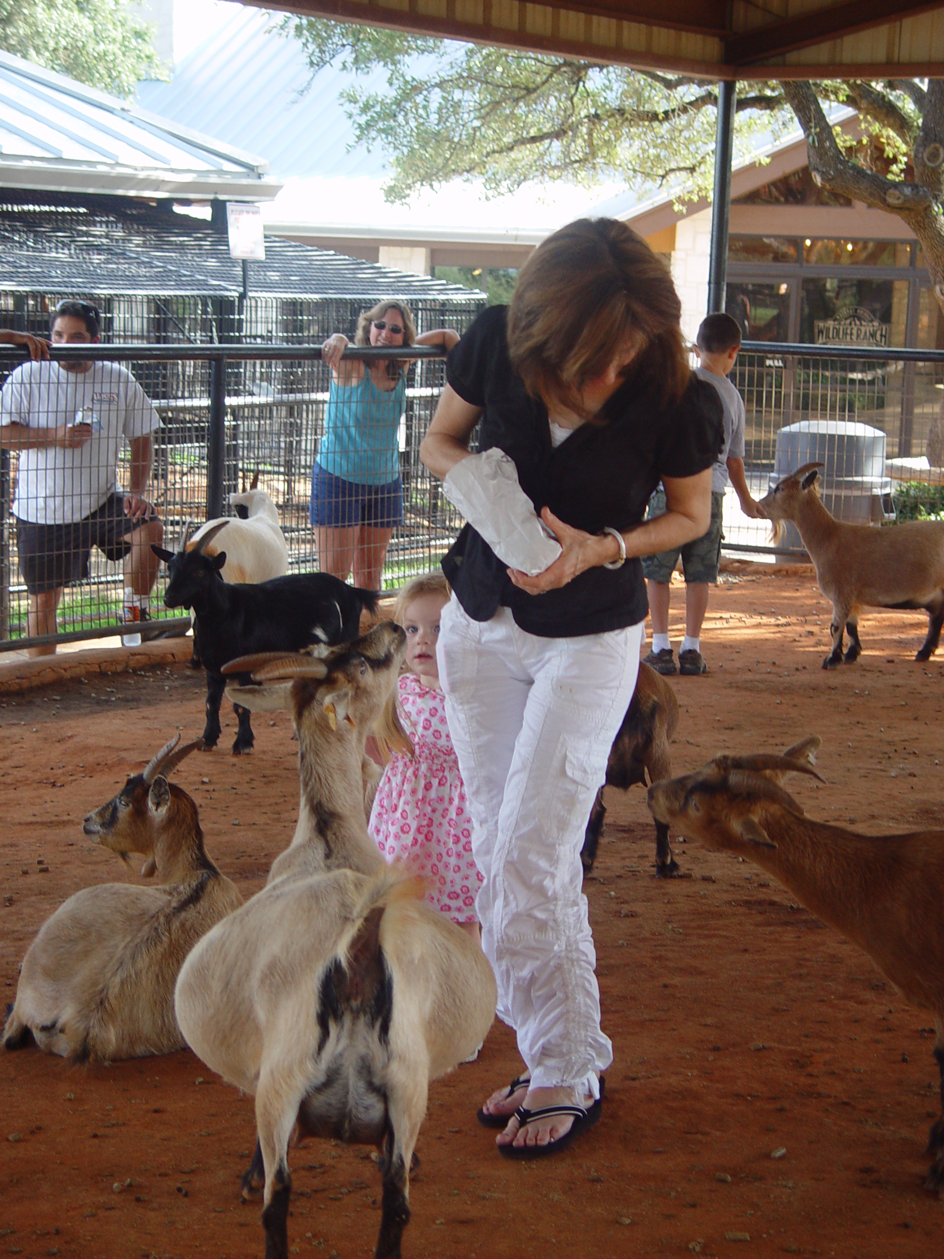 Grandma & Grandpa Ballam Come to Visit (Austin Bats, Natural Bridge Wildlife Ranch - African Safari Texas Style, Riverwalk)