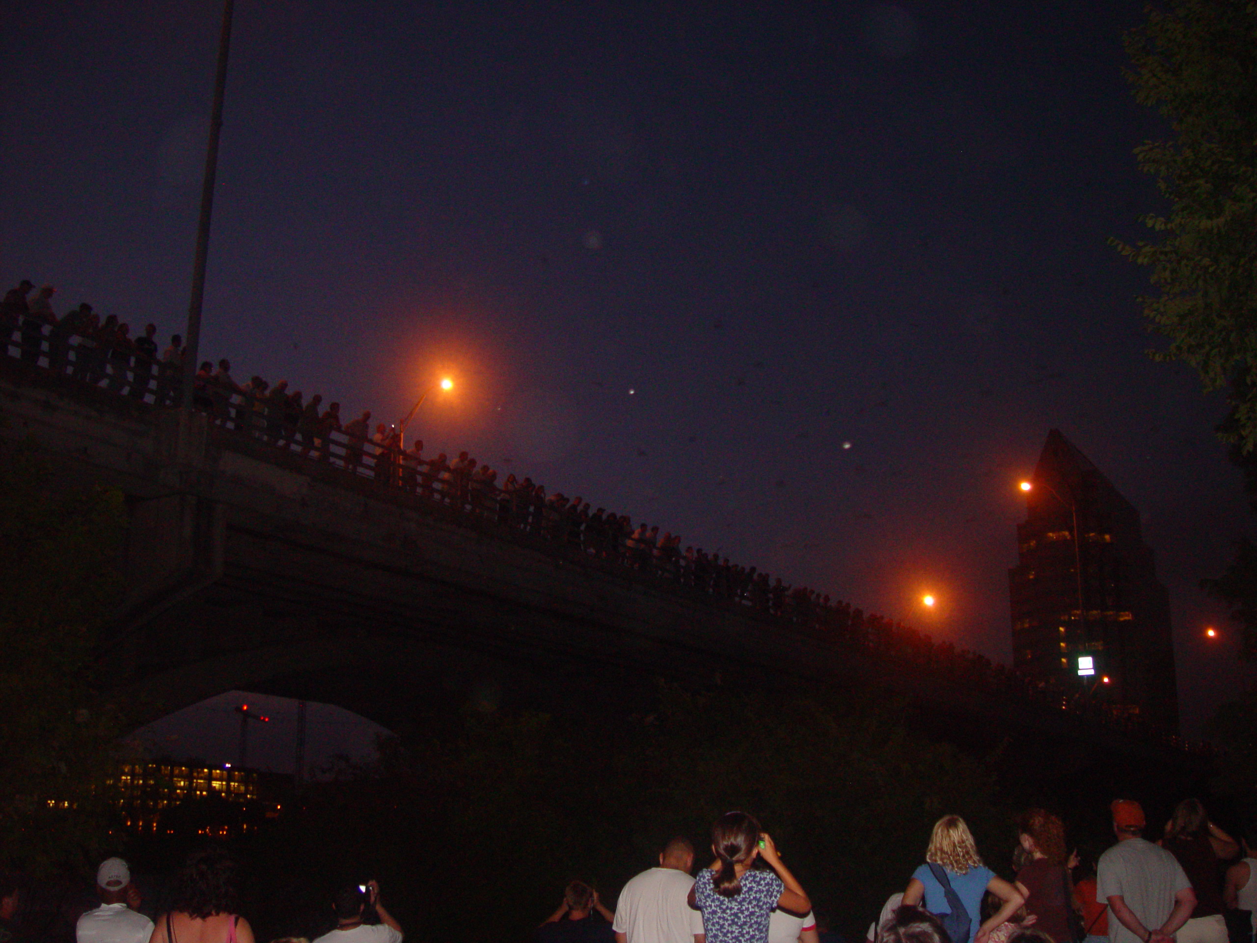 Joy School, Austin Bats (Congress Avenue Bridge), Football - #7 Texas Longhorns Destroy Iowa State 37-14