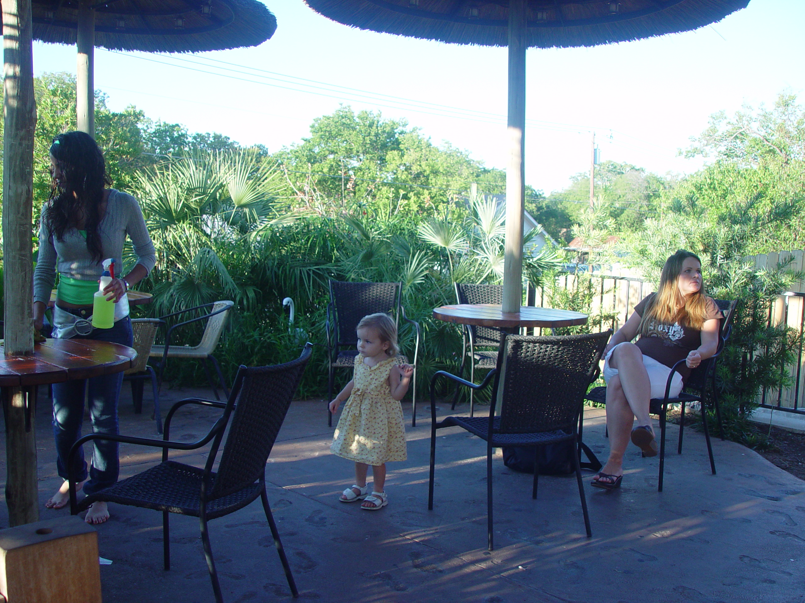 Austin Bats (McNeil Bridge), Zack & Ava Making Strawberry Jam, Backyard BBQ