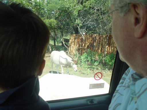 Grandma & Grandpa Ballam Come to Visit (Austin Bats, Natural Bridge Wildlife Ranch - African Safari Texas Style, Riverwalk)