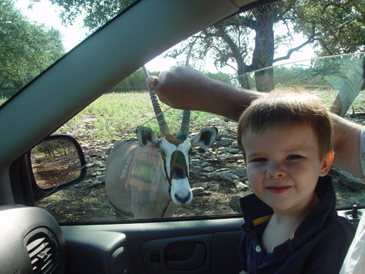 Grandma & Grandpa Ballam Come to Visit (Austin Bats, Natural Bridge Wildlife Ranch - African Safari Texas Style, Riverwalk)
