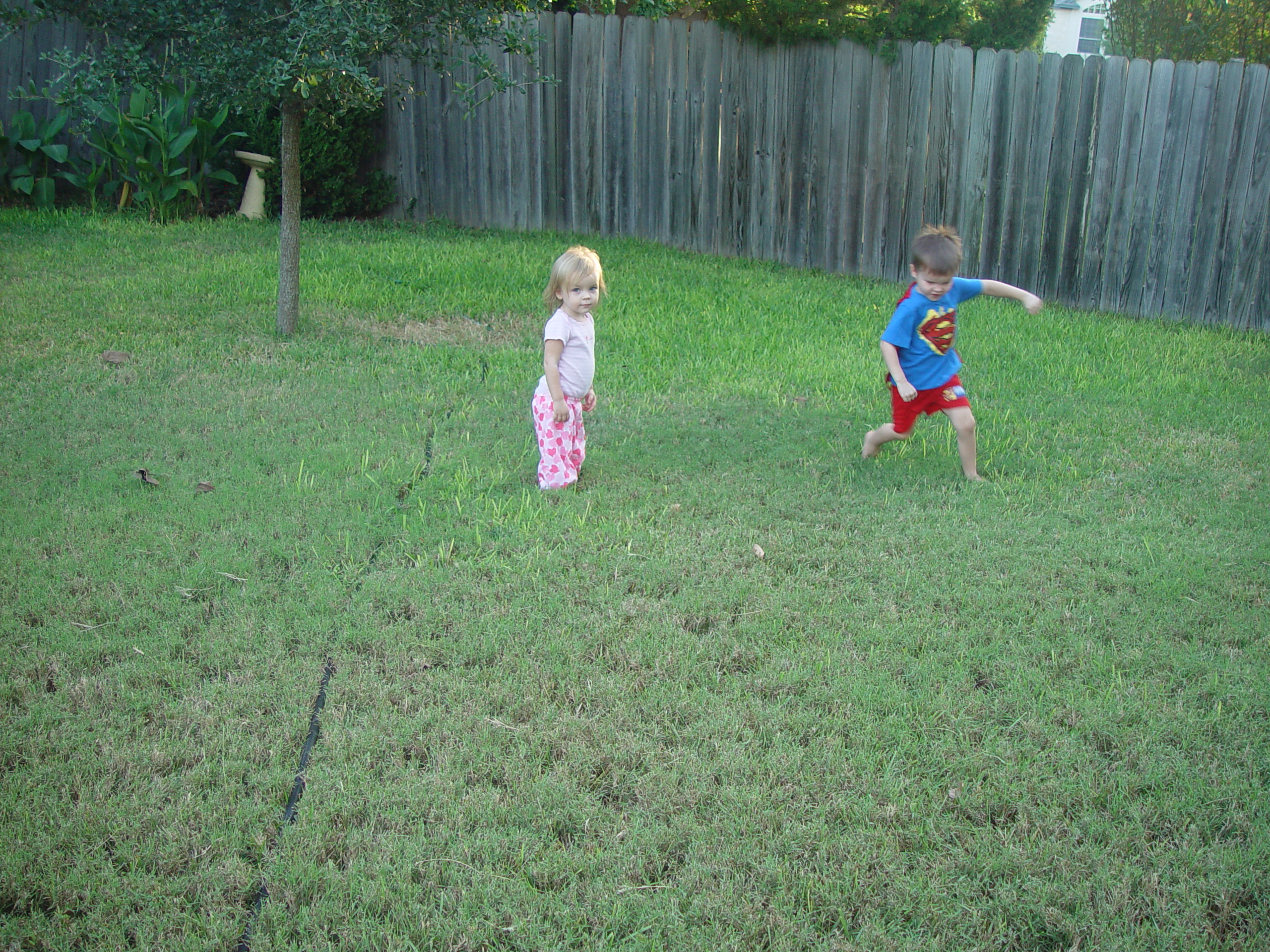 Austin Bats (McNeil Bridge), Zack & Ava Making Strawberry Jam, Backyard BBQ