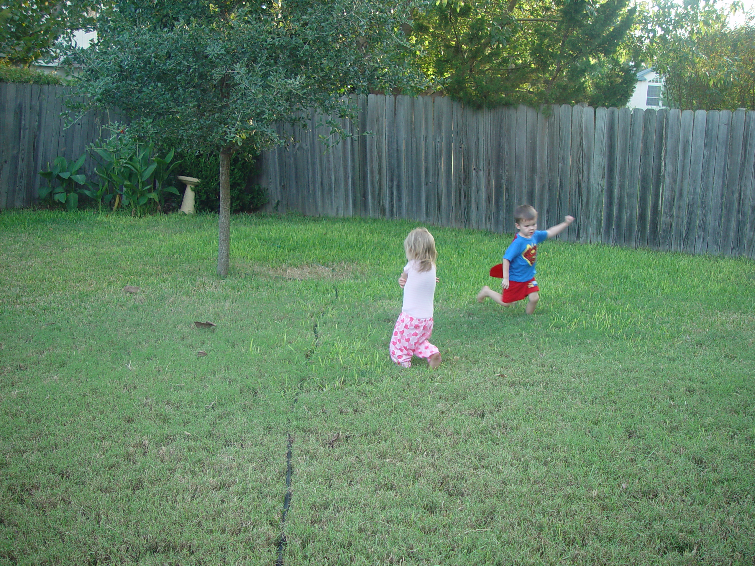 Austin Bats (McNeil Bridge), Zack & Ava Making Strawberry Jam, Backyard BBQ