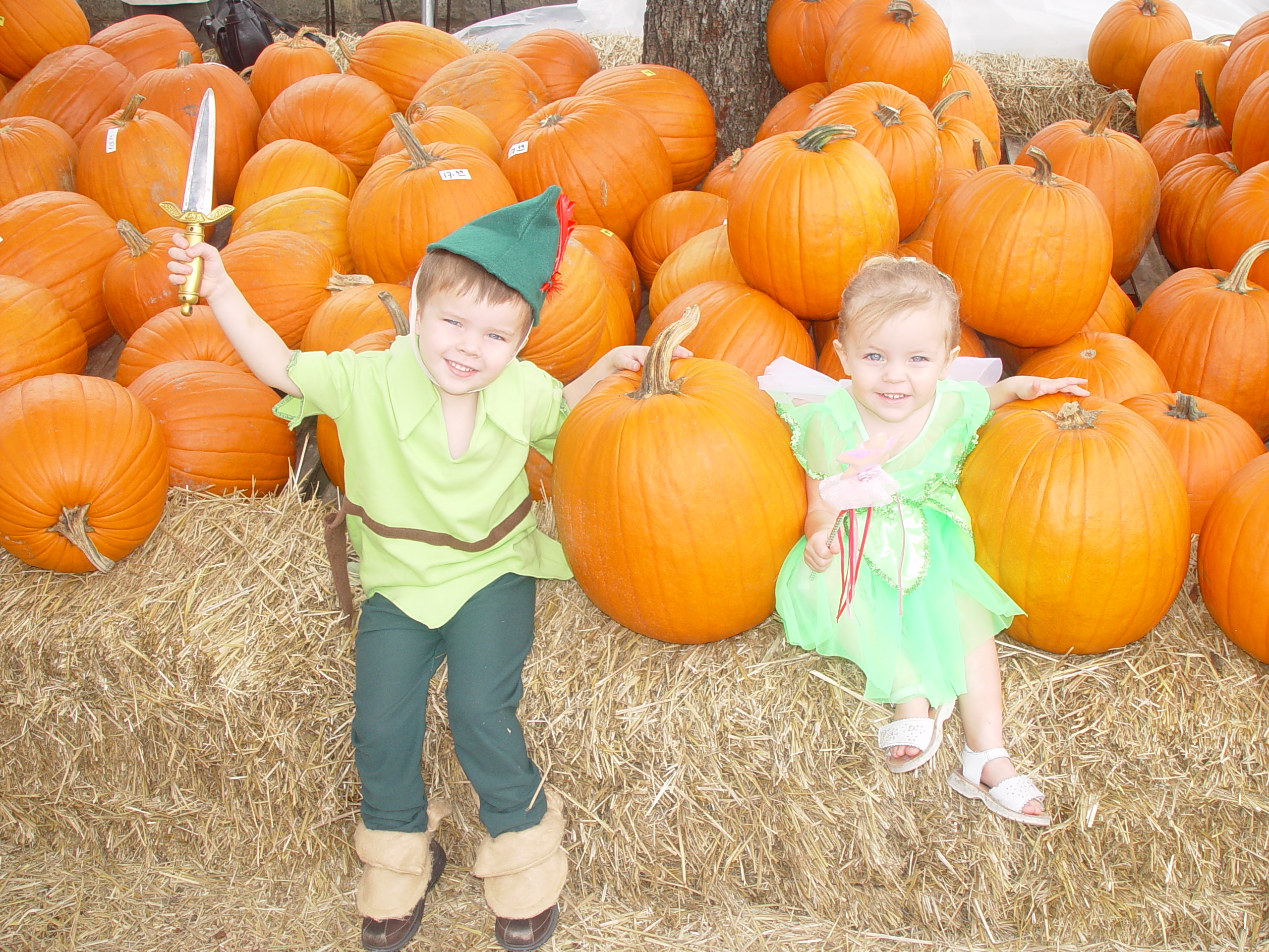 Red Barn Halloween Pumpkin Patch, Building Our Haunted House