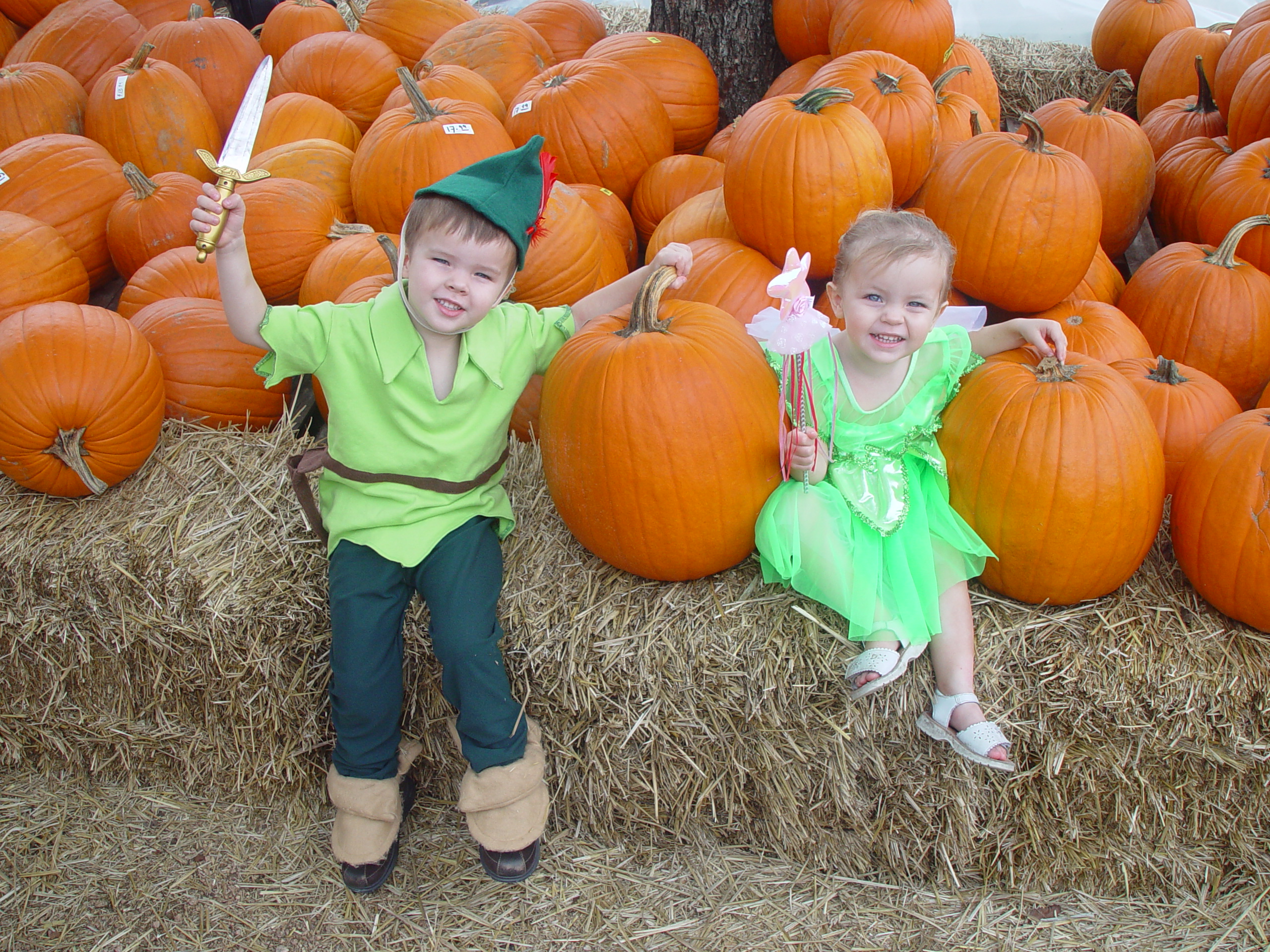 Red Barn Halloween Pumpkin Patch, Building Our Haunted House