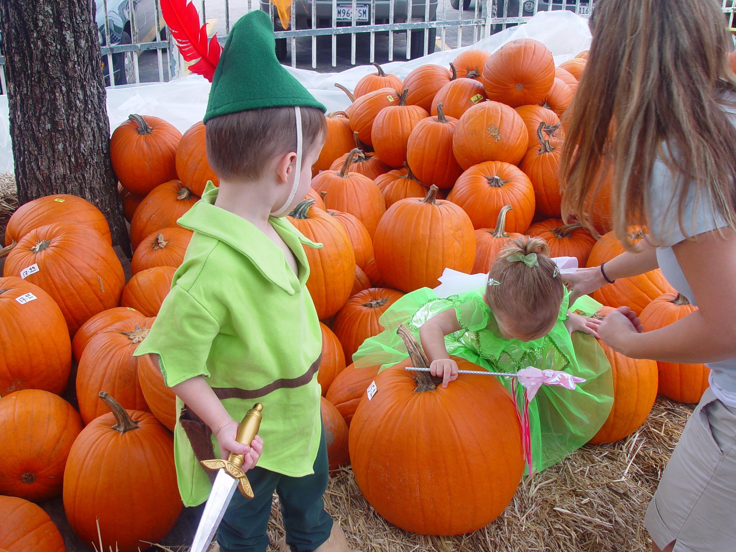 Red Barn Halloween Pumpkin Patch, Building Our Haunted House