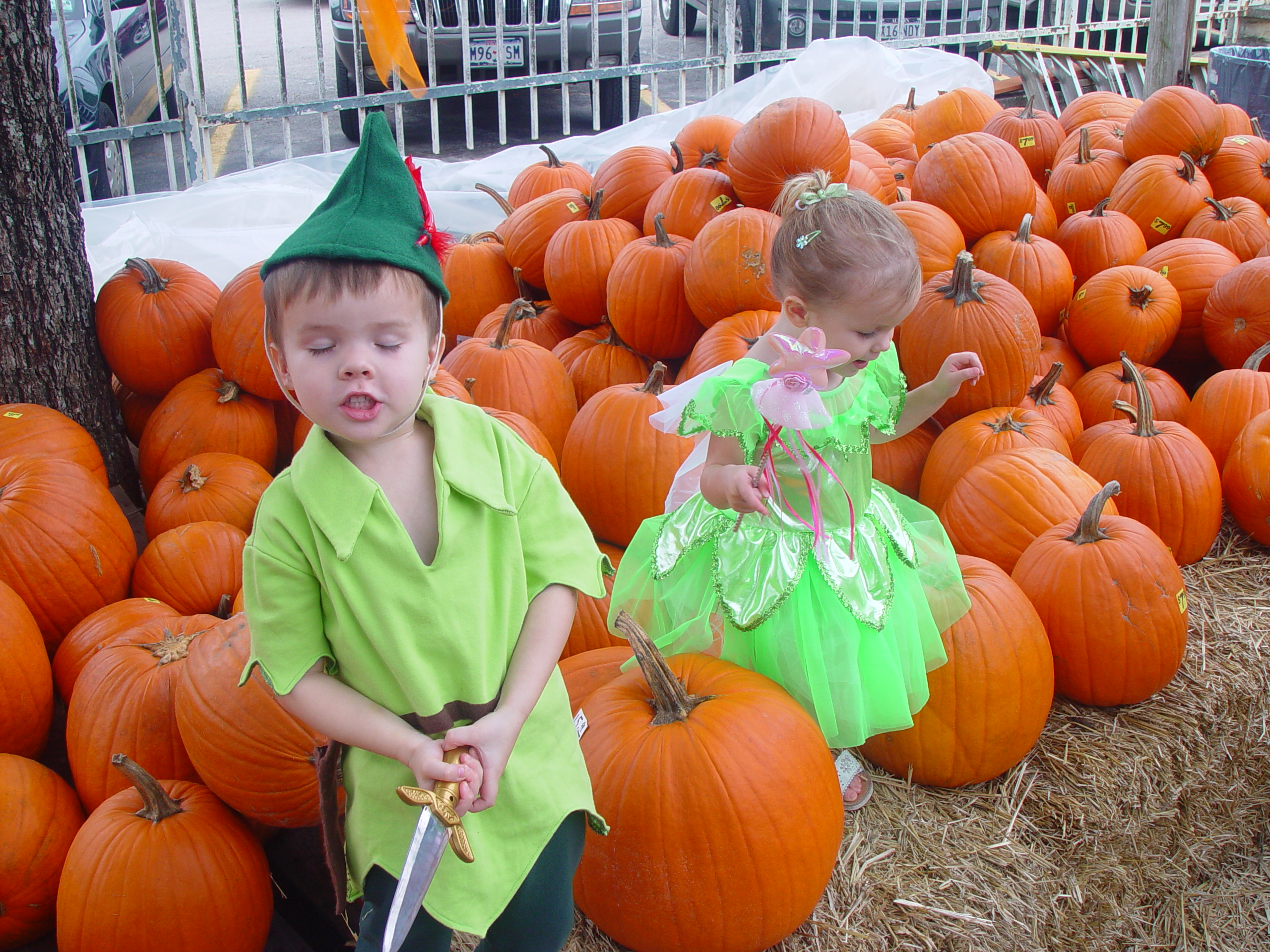 Red Barn Halloween Pumpkin Patch, Building Our Haunted House