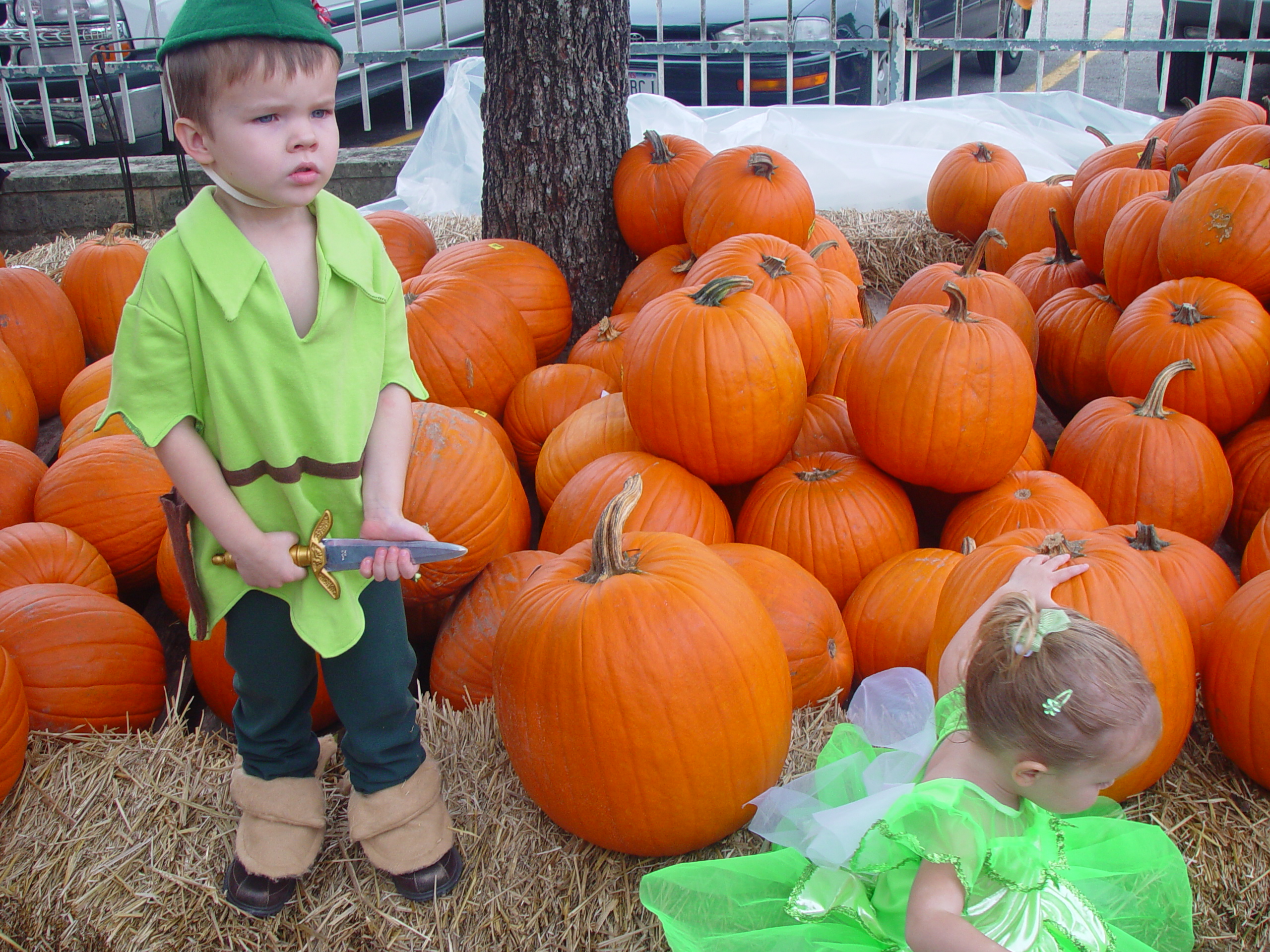 Red Barn Halloween Pumpkin Patch, Building Our Haunted House