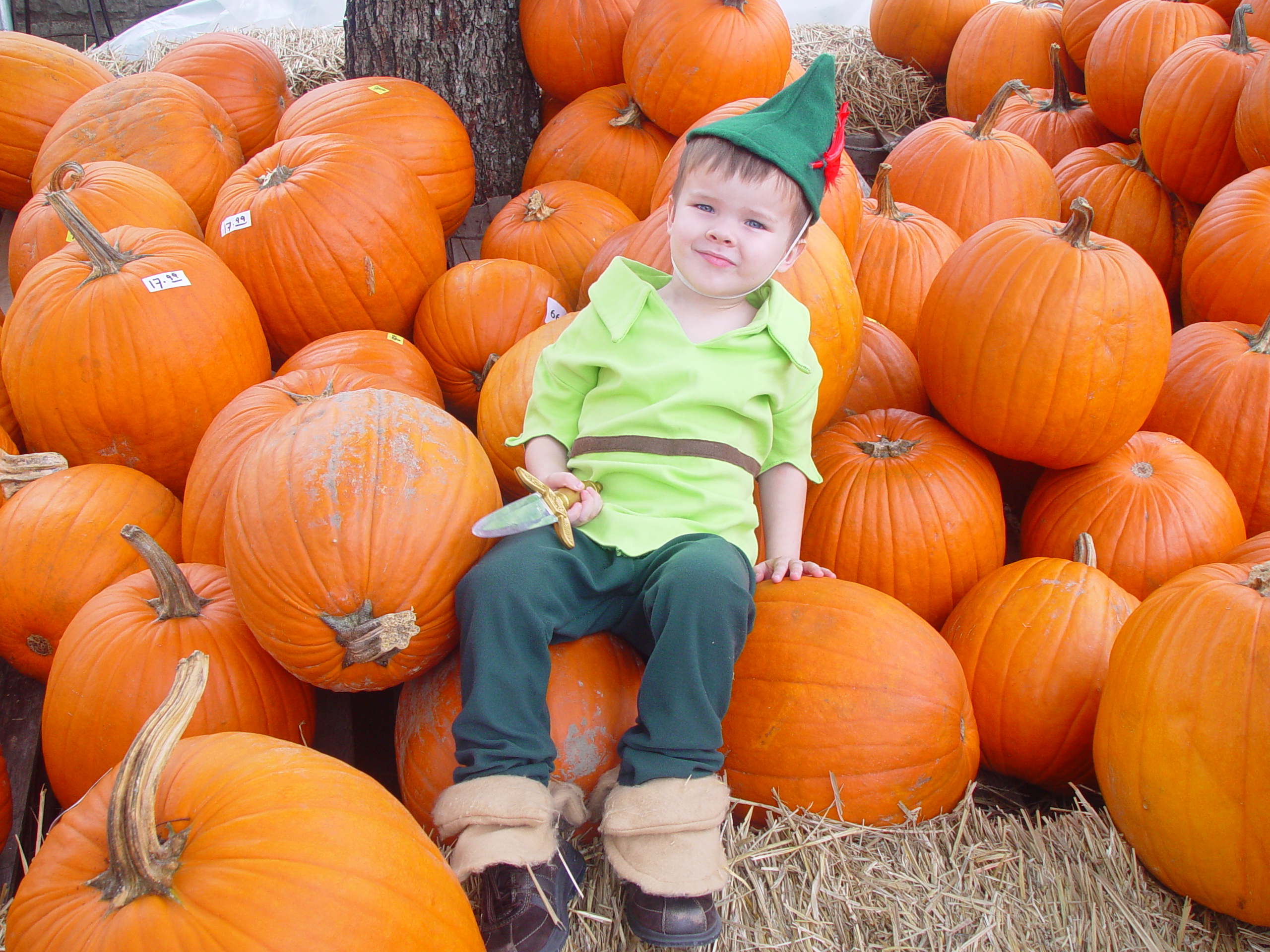 Red Barn Halloween Pumpkin Patch, Building Our Haunted House