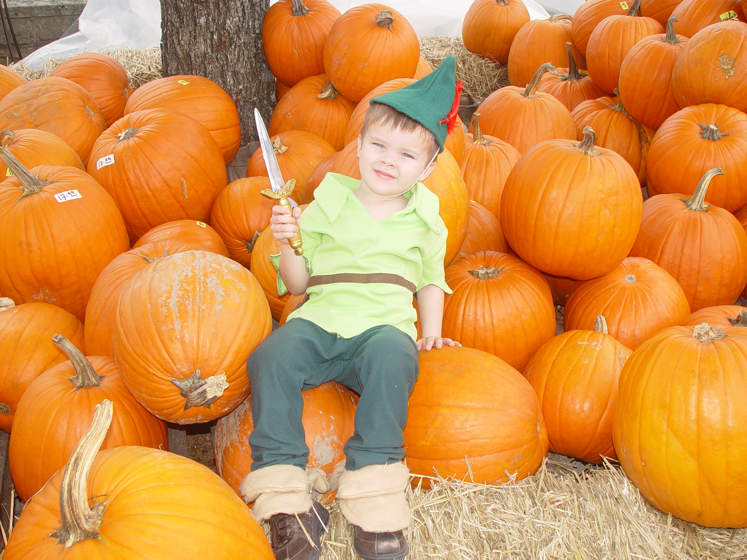 Red Barn Halloween Pumpkin Patch, Building Our Haunted House