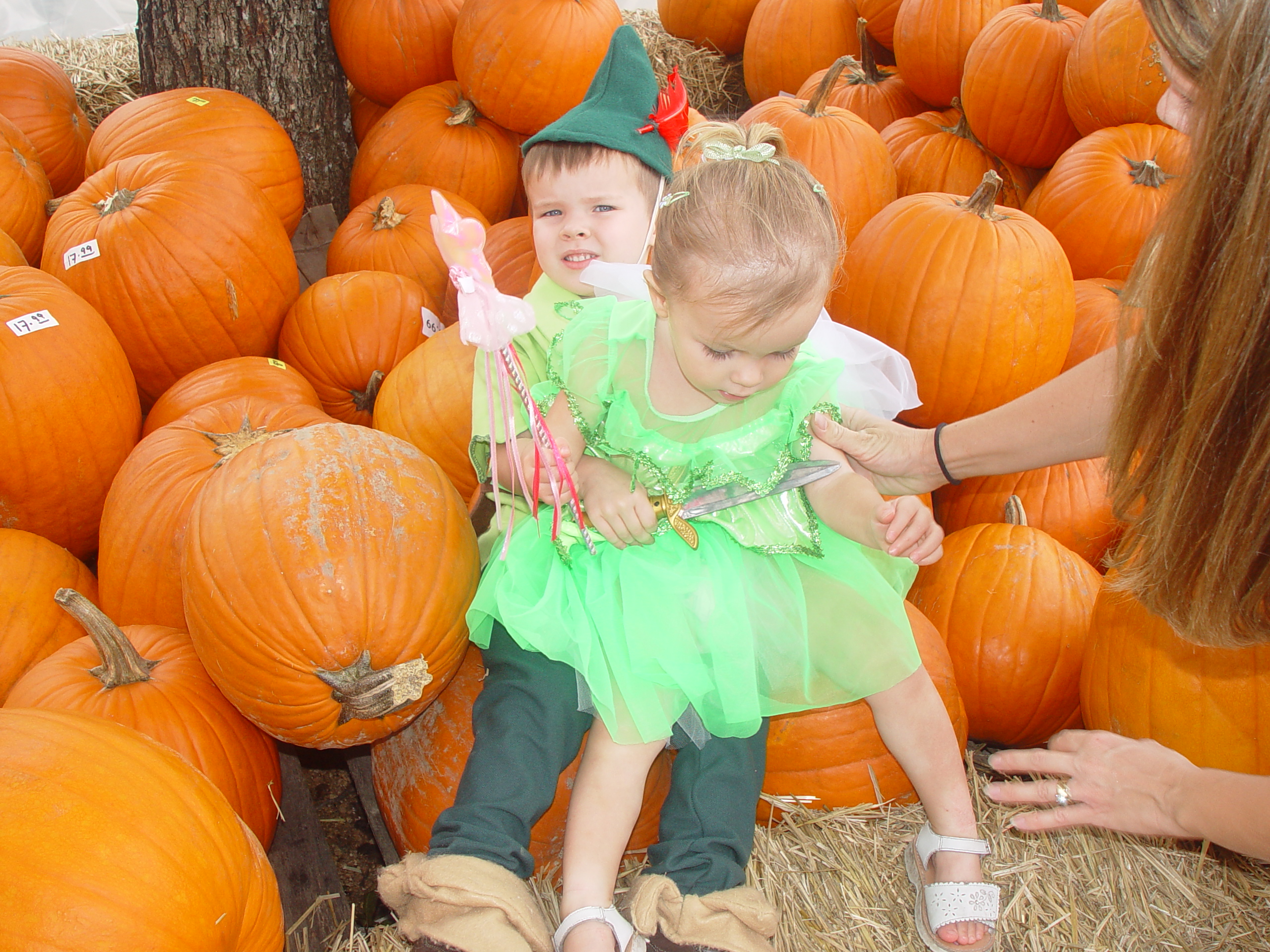 Red Barn Halloween Pumpkin Patch, Building Our Haunted House