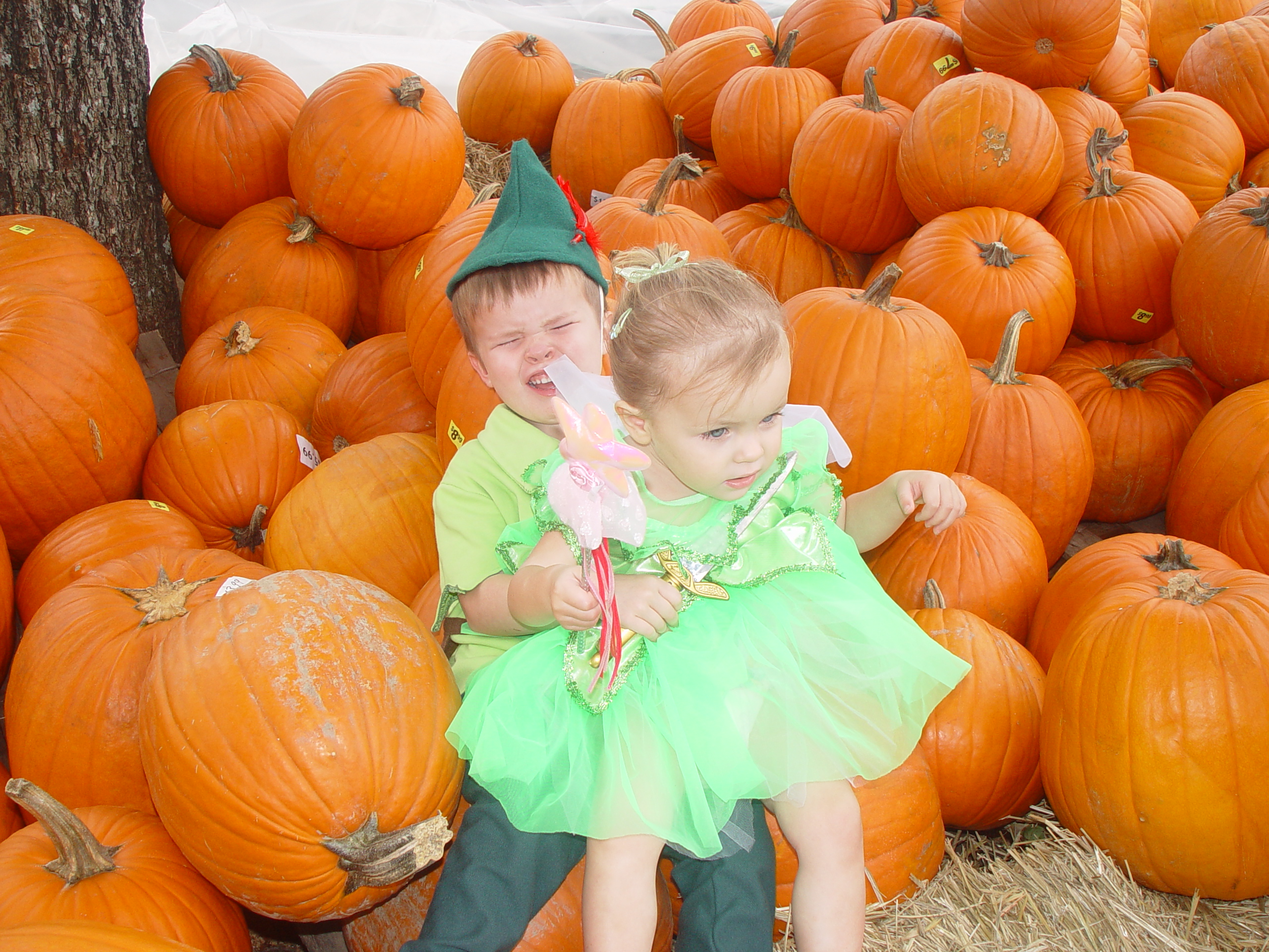 Red Barn Halloween Pumpkin Patch, Building Our Haunted House