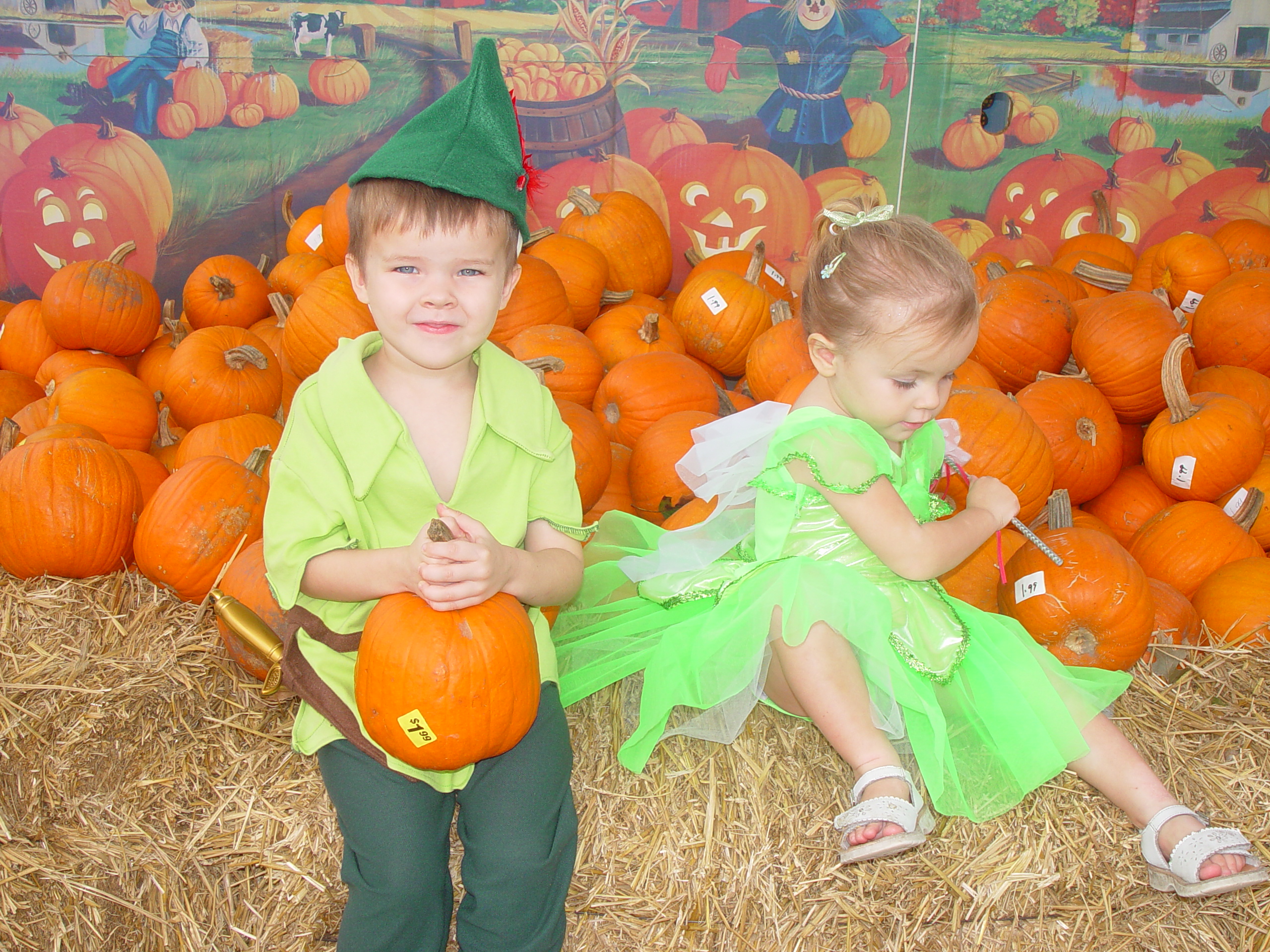Red Barn Halloween Pumpkin Patch, Building Our Haunted House