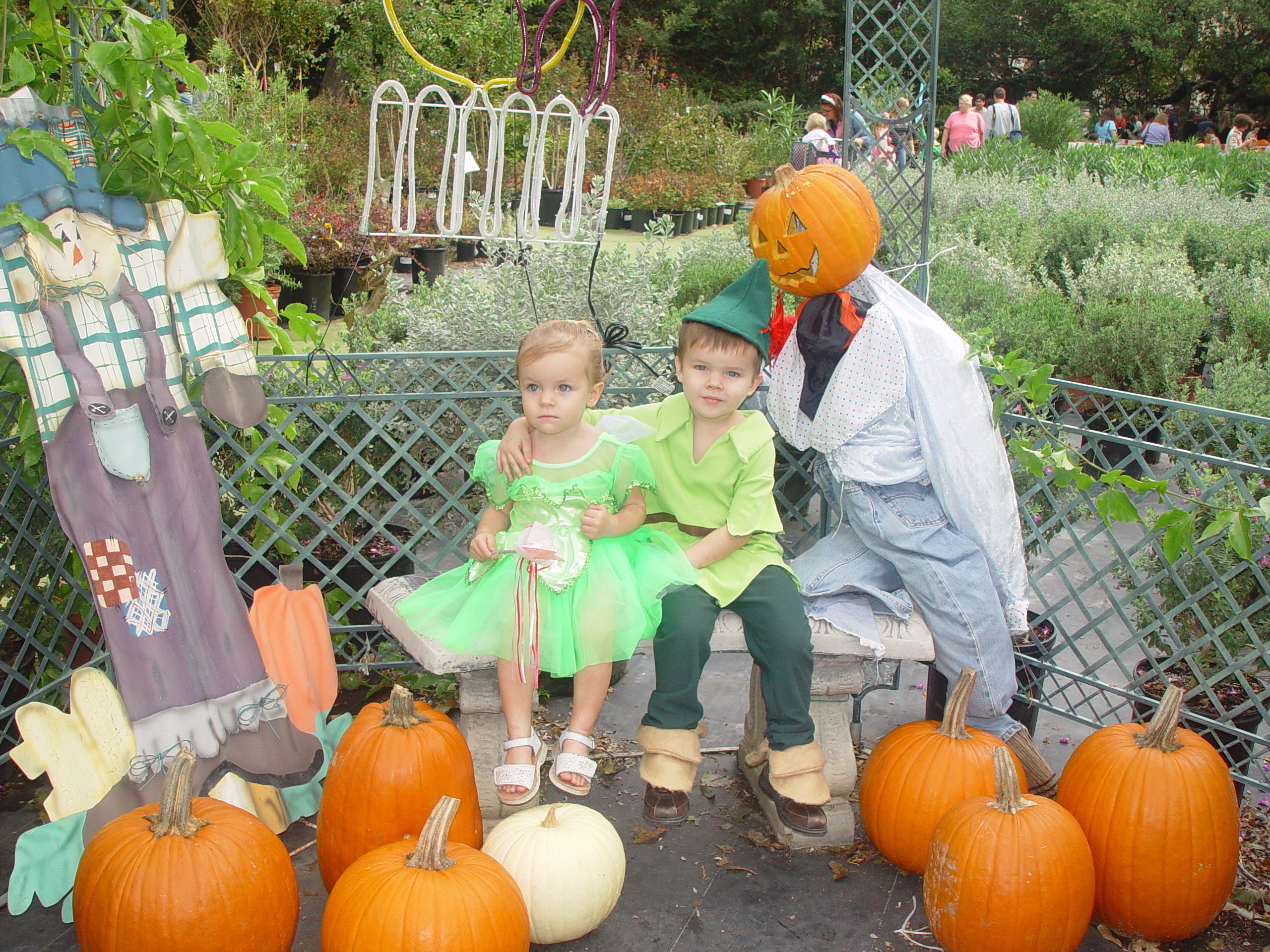 Red Barn Halloween Pumpkin Patch, Building Our Haunted House