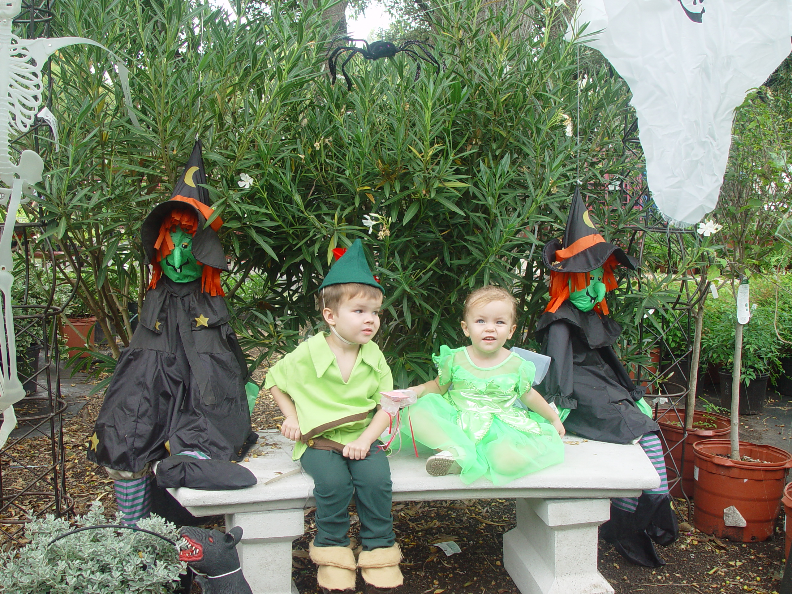 Red Barn Halloween Pumpkin Patch, Building Our Haunted House