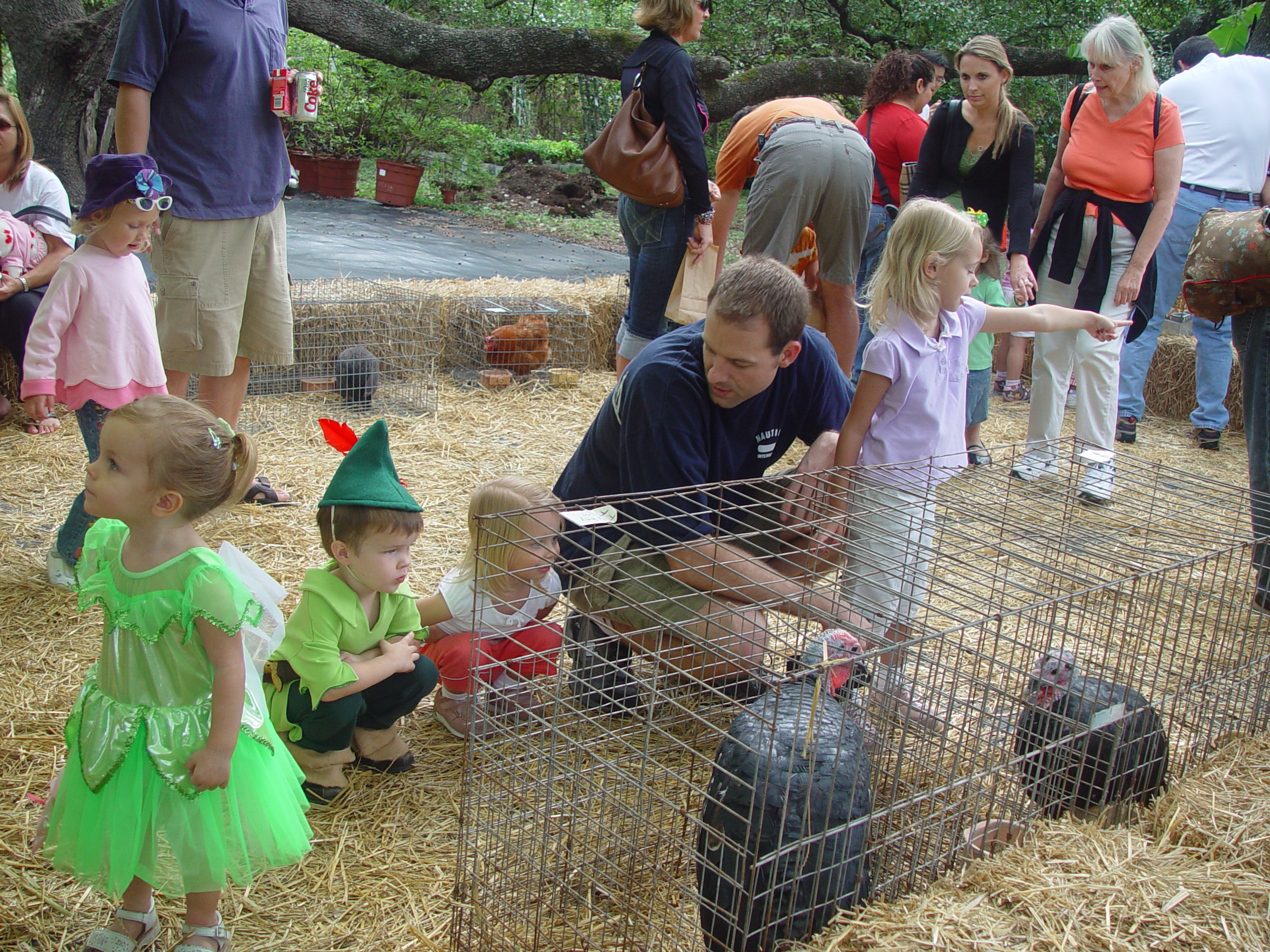 Red Barn Halloween Pumpkin Patch, Building Our Haunted House