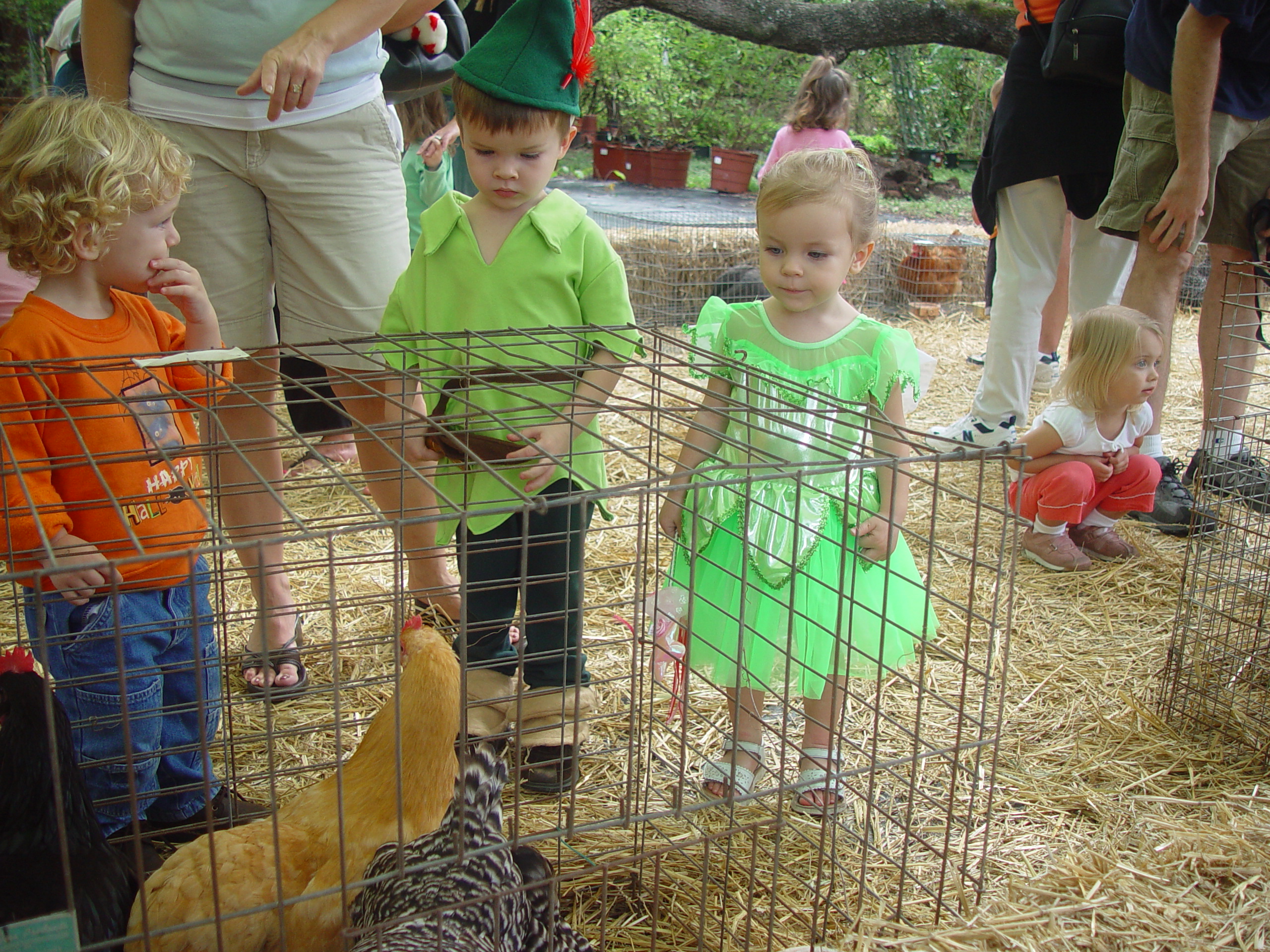 Red Barn Halloween Pumpkin Patch, Building Our Haunted House