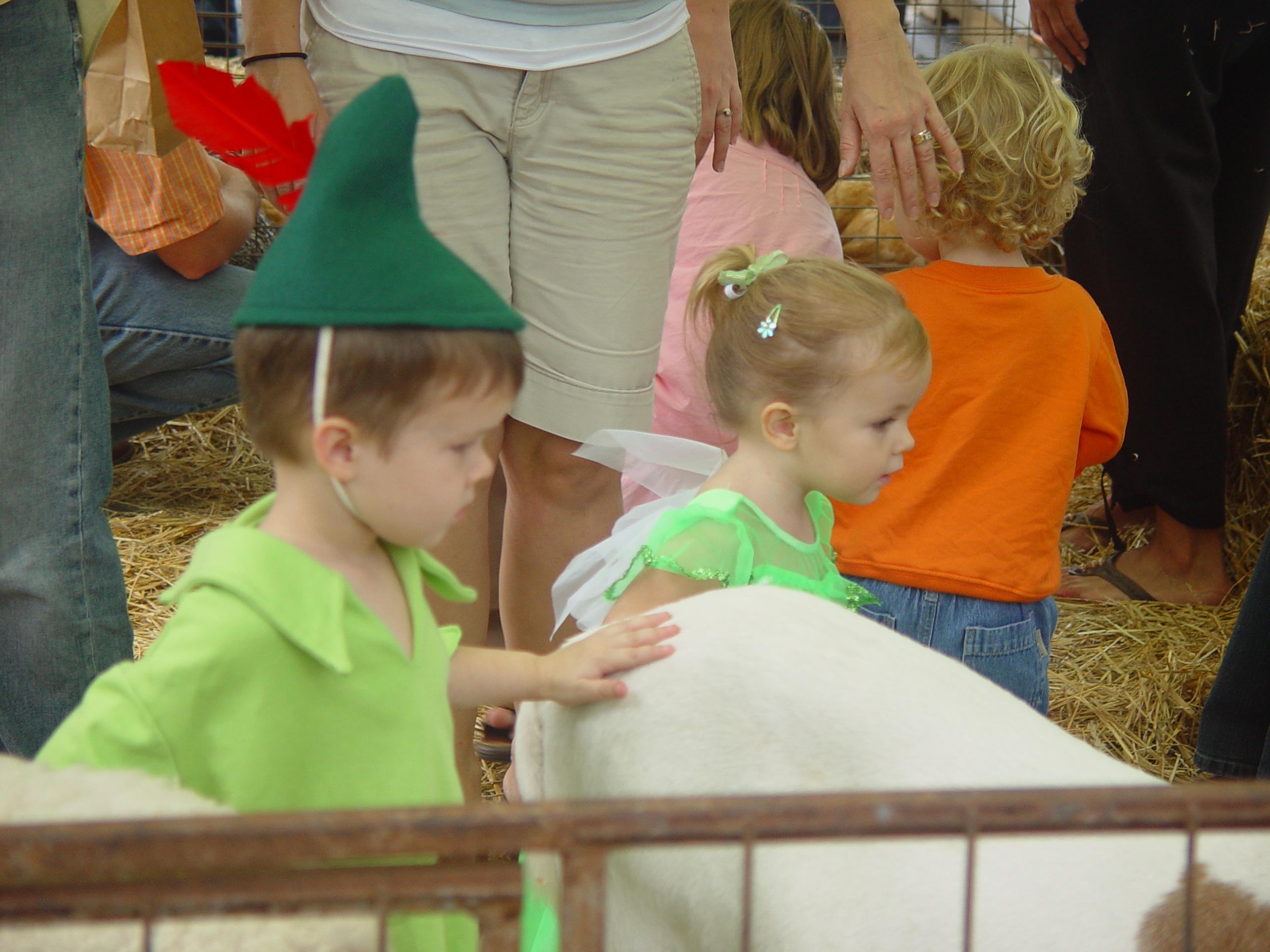 Red Barn Halloween Pumpkin Patch, Building Our Haunted House