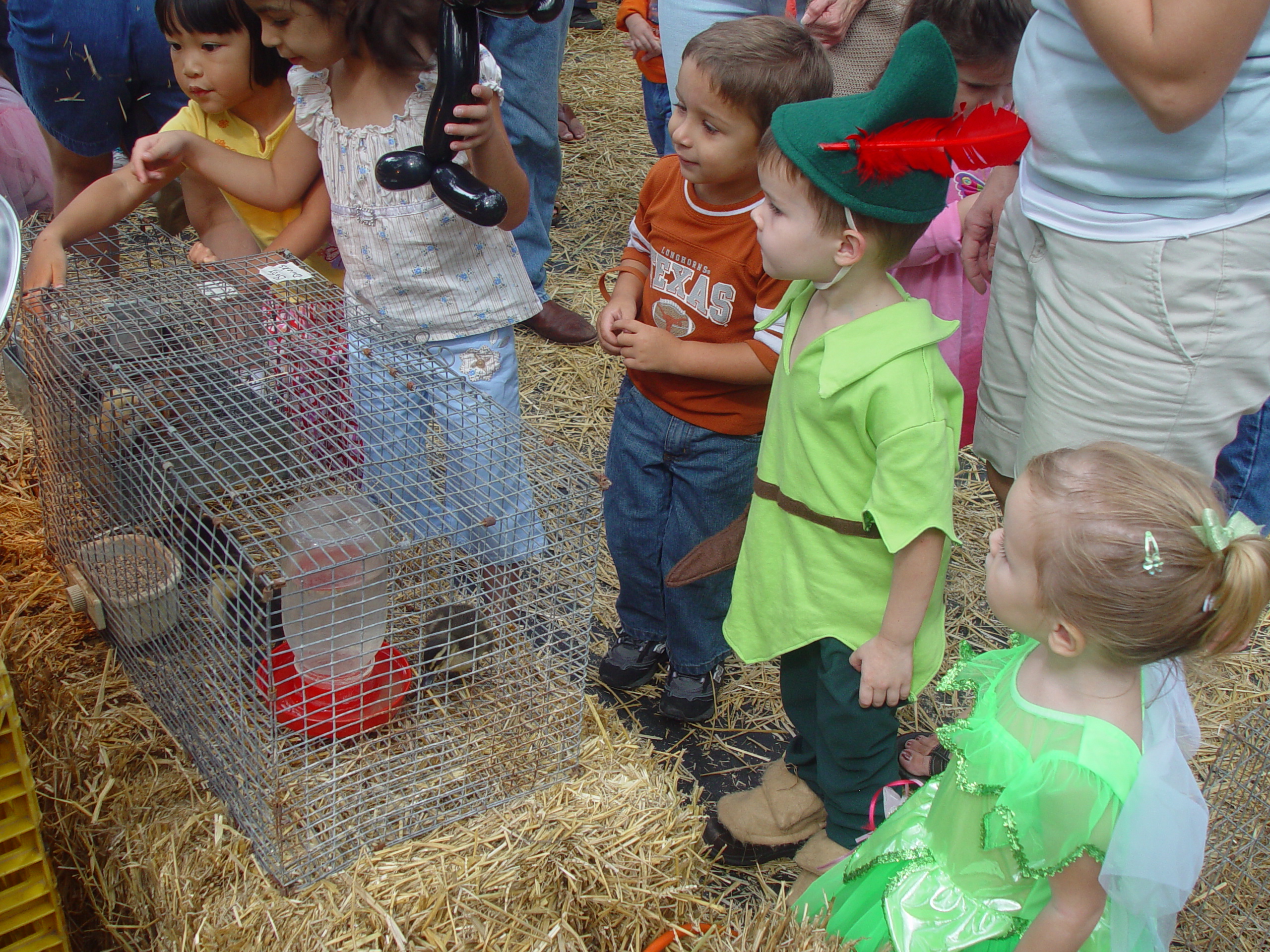 Red Barn Halloween Pumpkin Patch, Building Our Haunted House