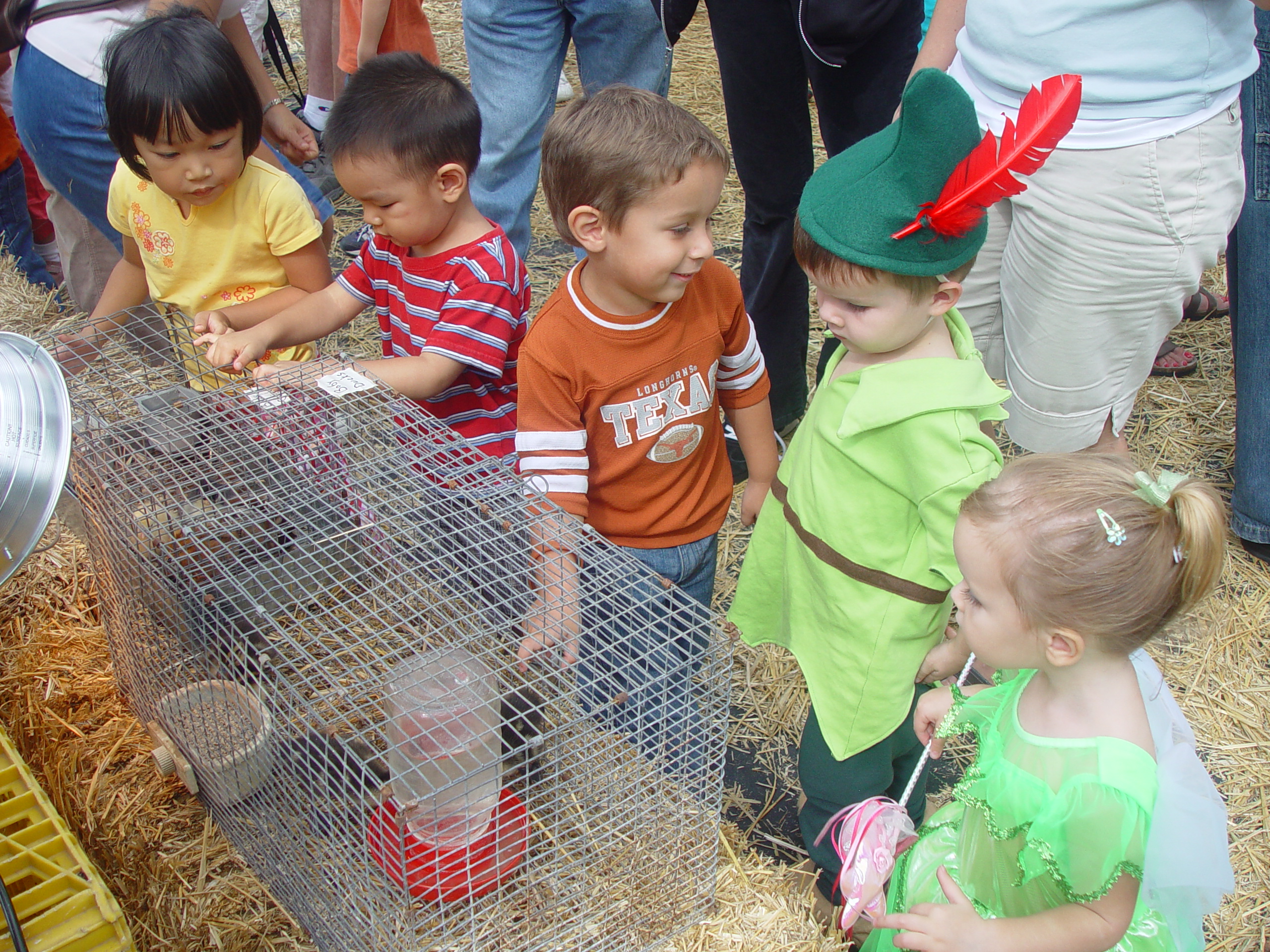 Red Barn Halloween Pumpkin Patch, Building Our Haunted House