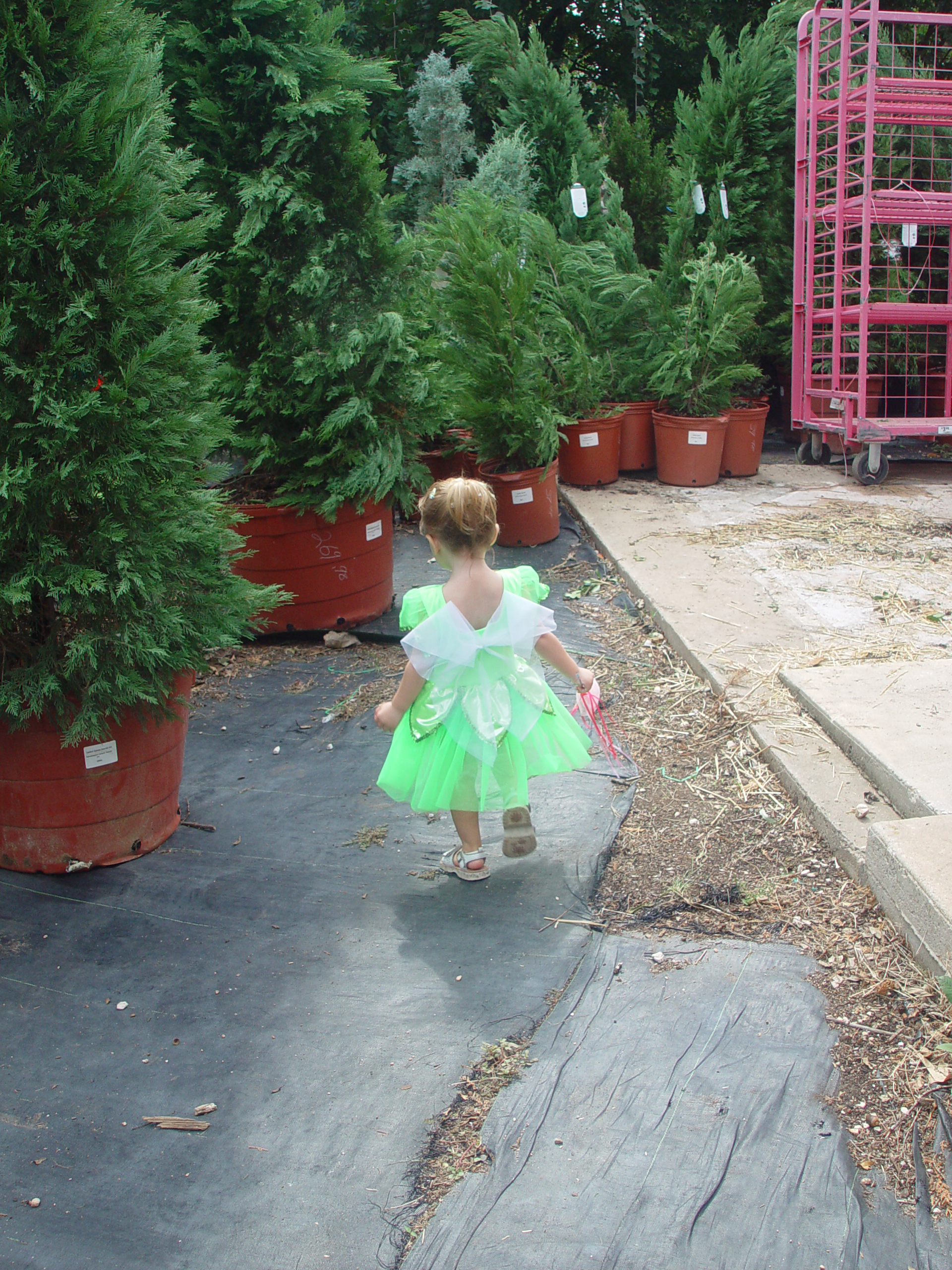 Red Barn Halloween Pumpkin Patch, Building Our Haunted House