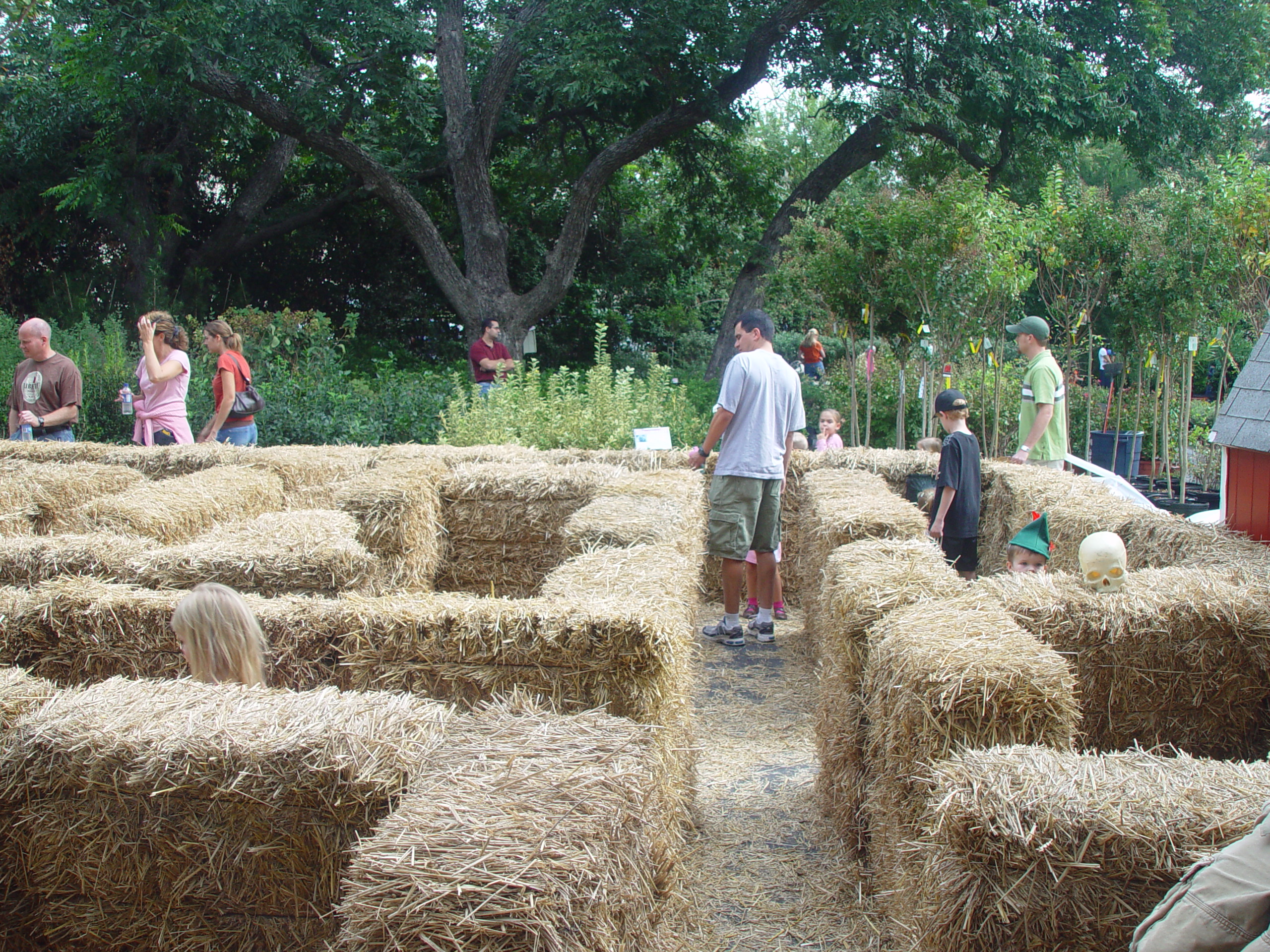 Red Barn Halloween Pumpkin Patch, Building Our Haunted House