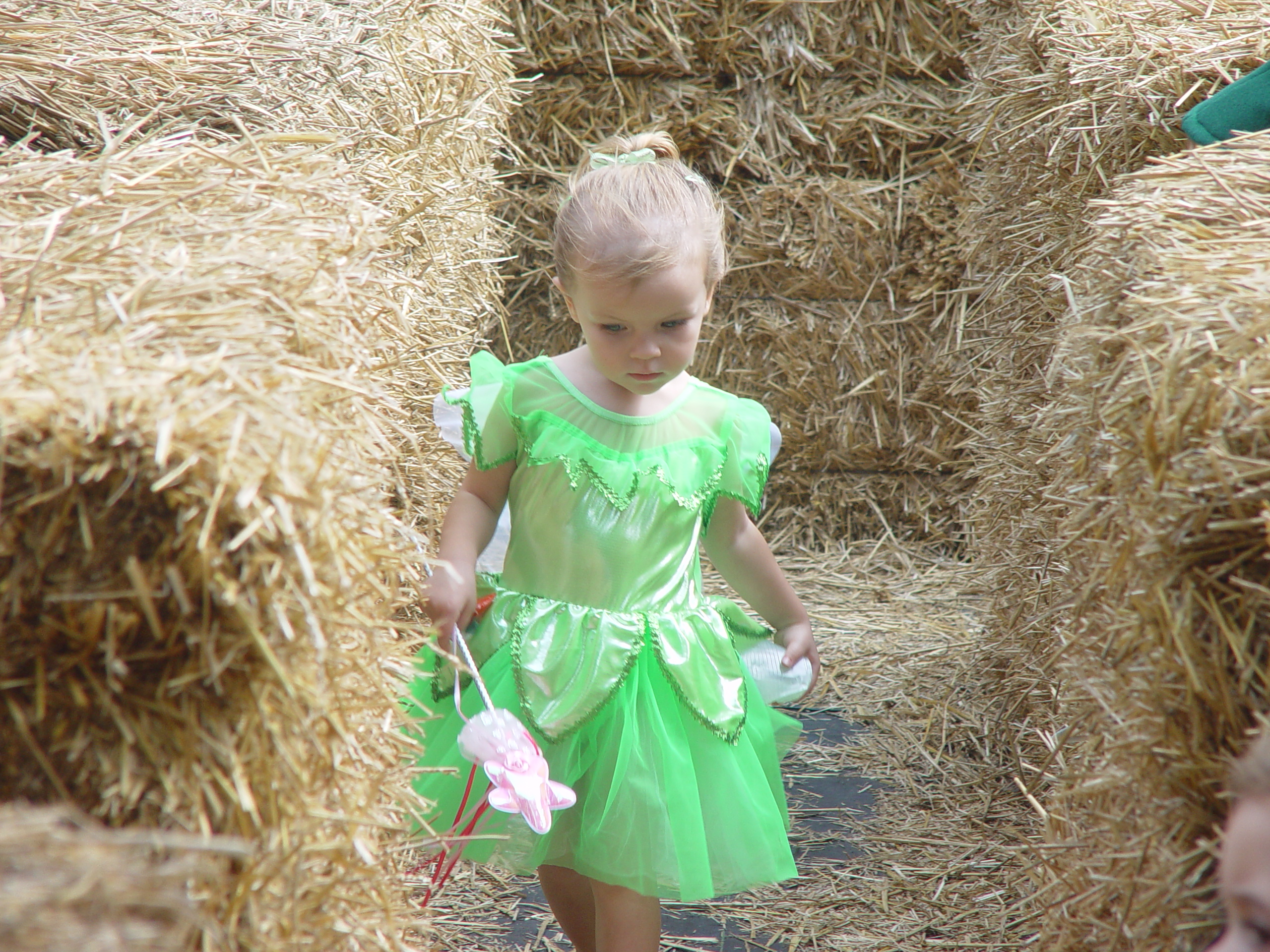 Red Barn Halloween Pumpkin Patch, Building Our Haunted House