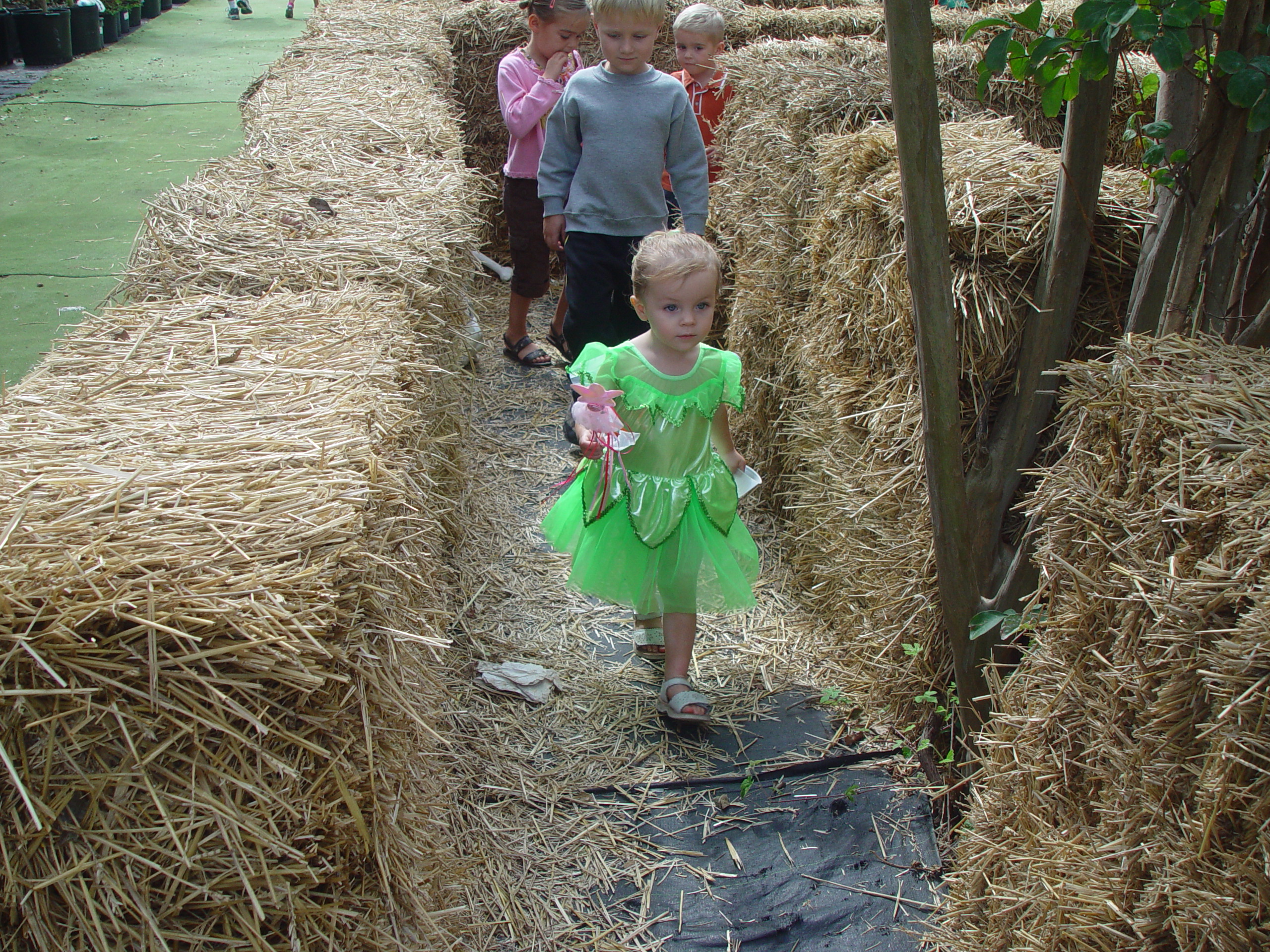 Red Barn Halloween Pumpkin Patch, Building Our Haunted House