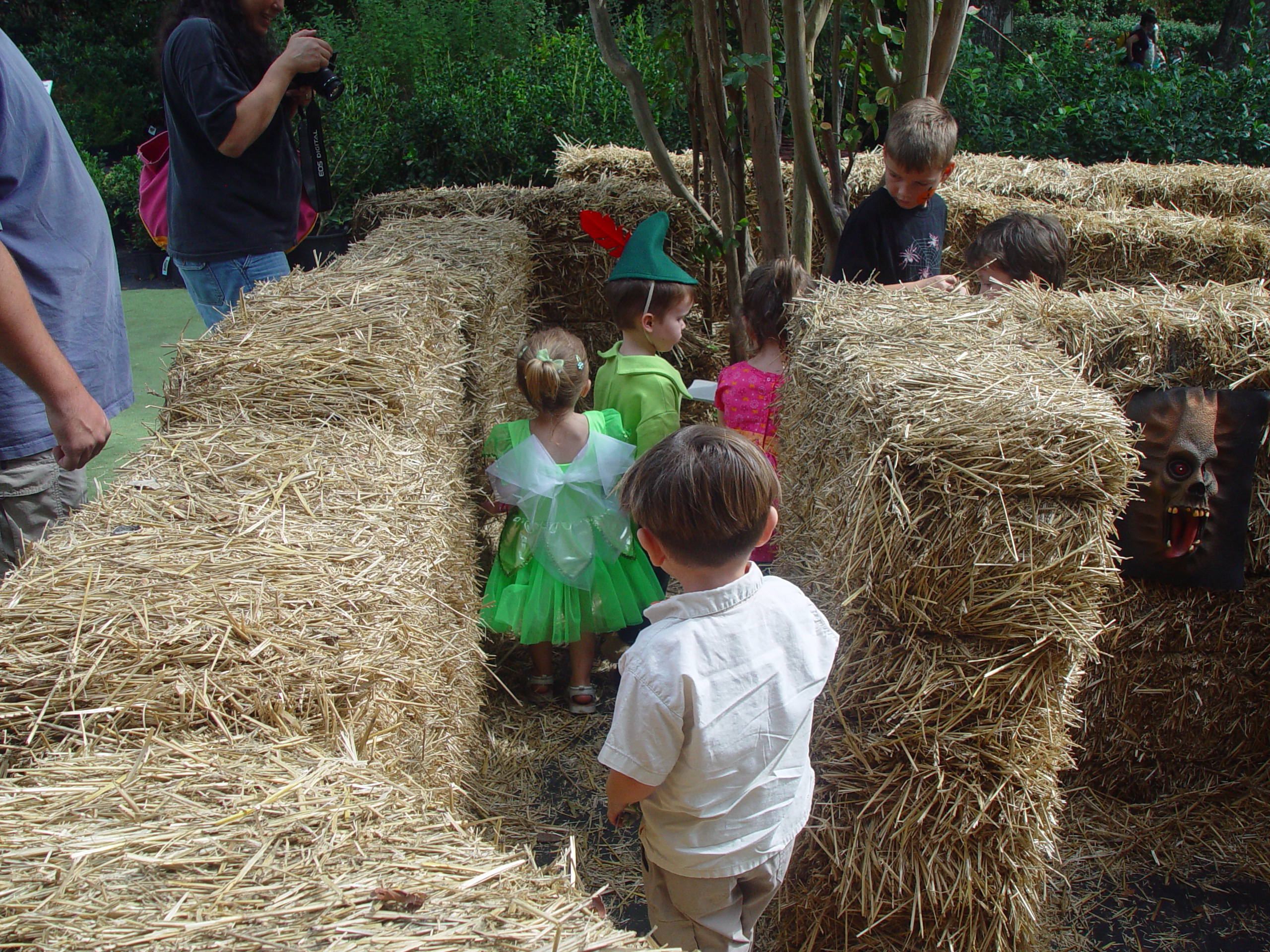 Red Barn Halloween Pumpkin Patch, Building Our Haunted House