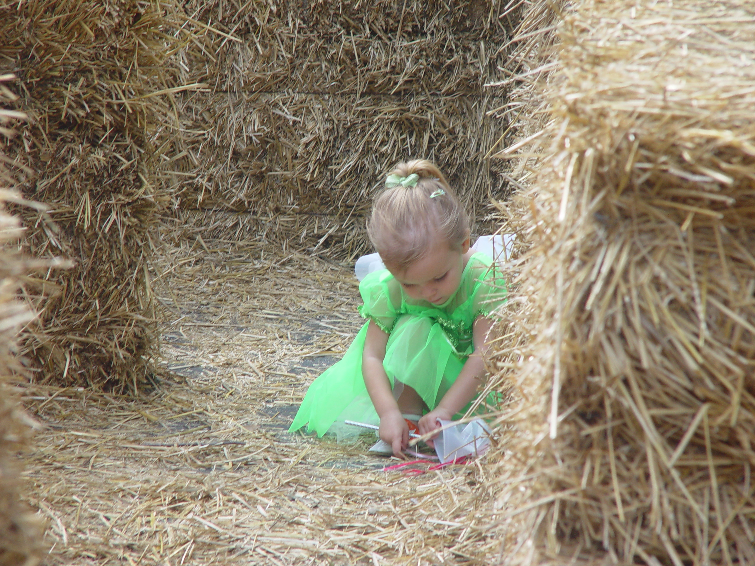 Red Barn Halloween Pumpkin Patch, Building Our Haunted House