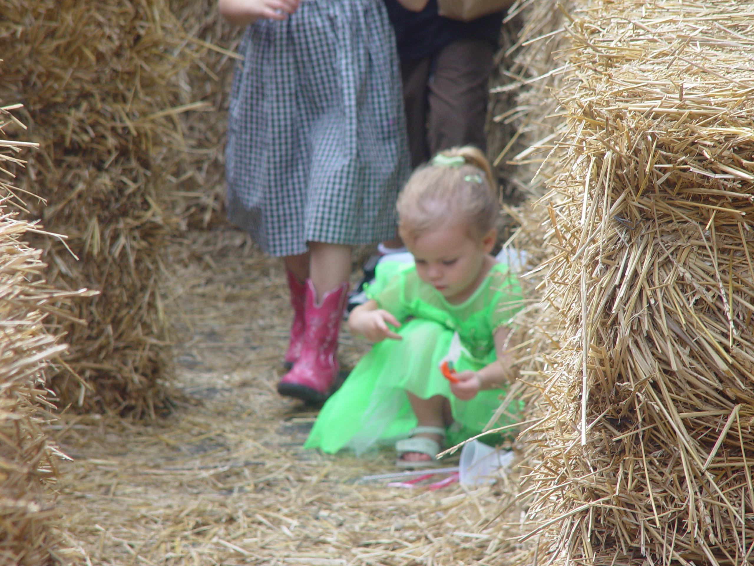 Red Barn Halloween Pumpkin Patch, Building Our Haunted House