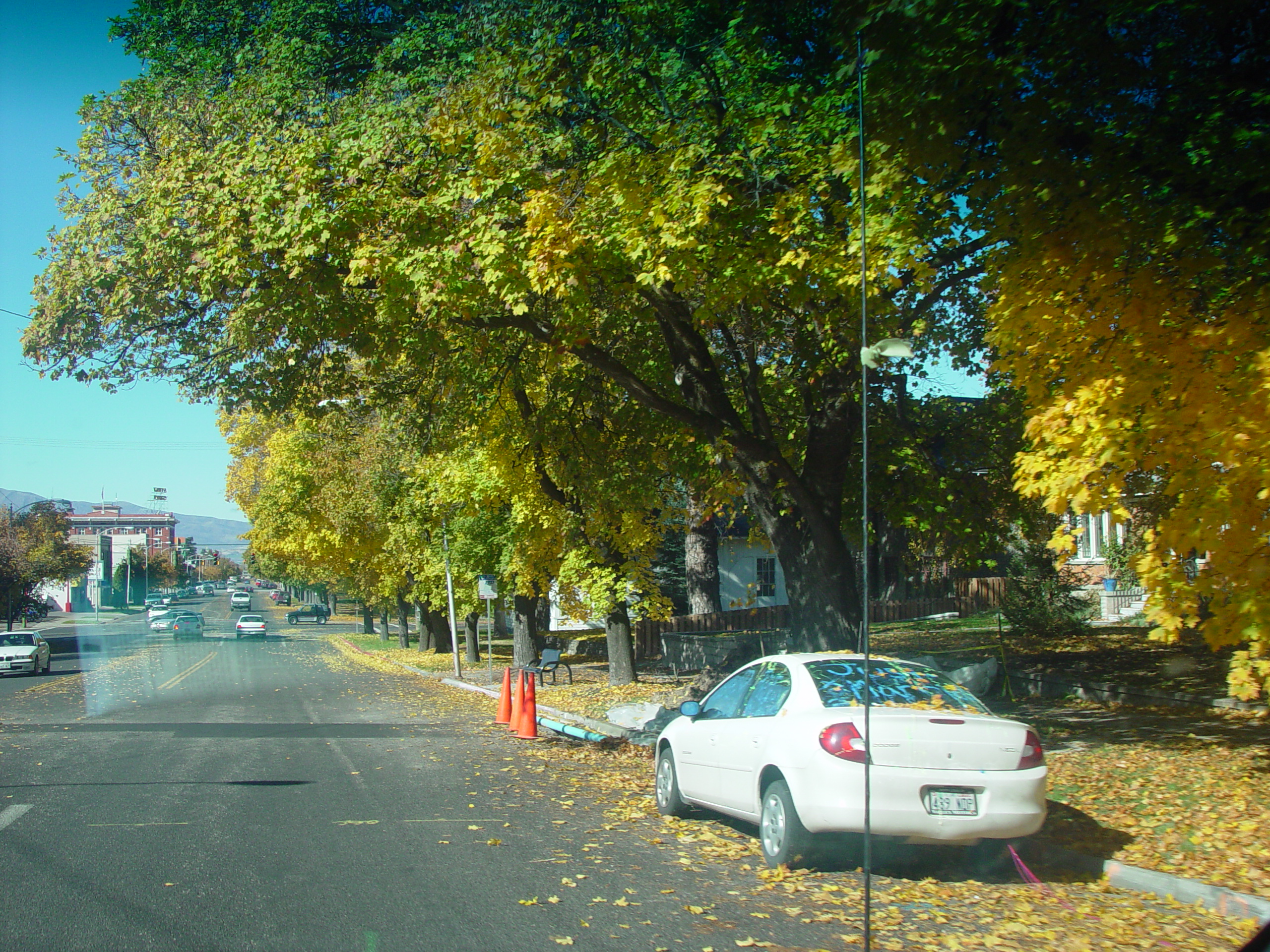 Playing in the Leaves, The Pumpkin Walk (North Logan, Utah)