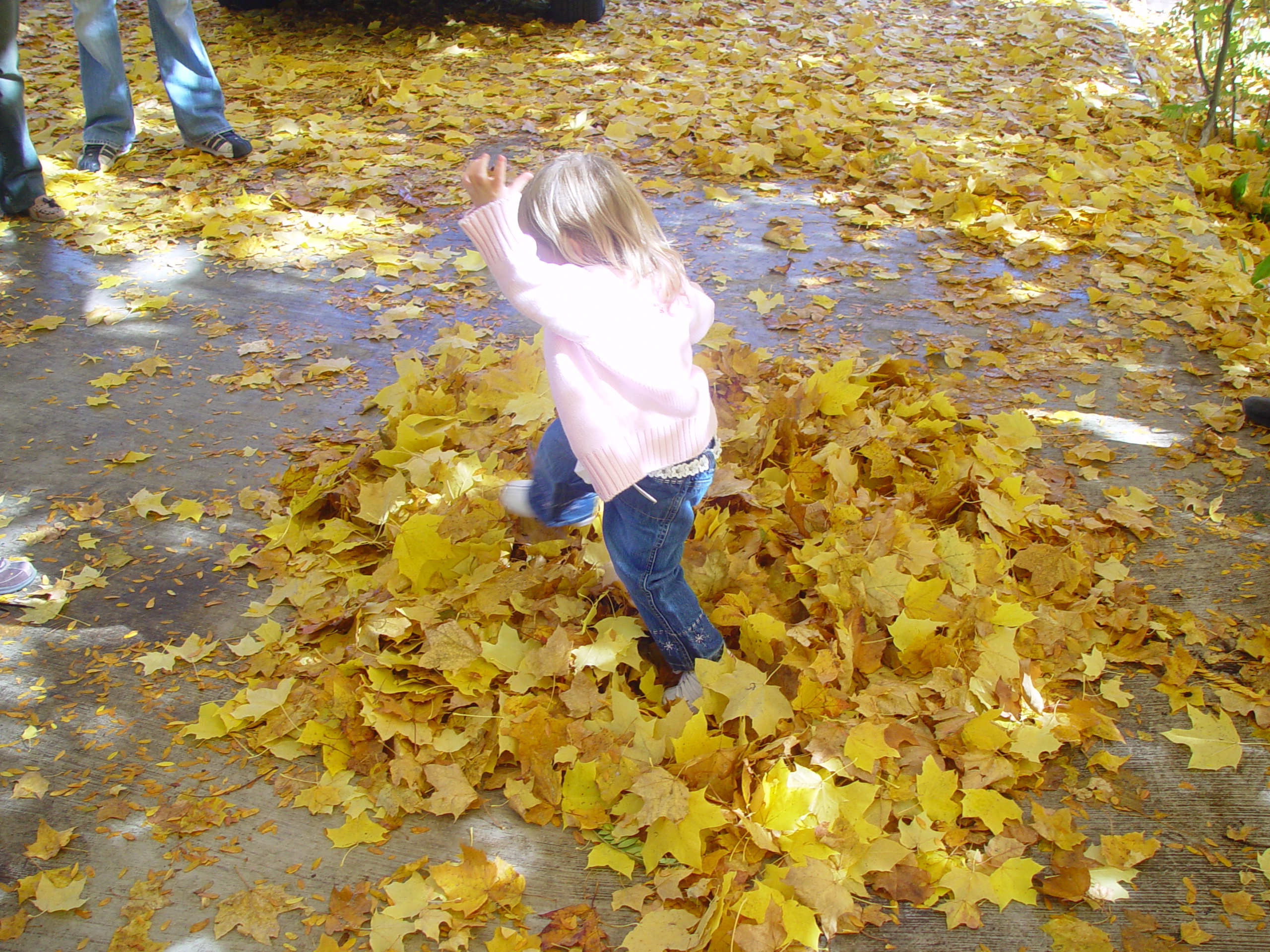 Playing in the Leaves, The Pumpkin Walk (North Logan, Utah)