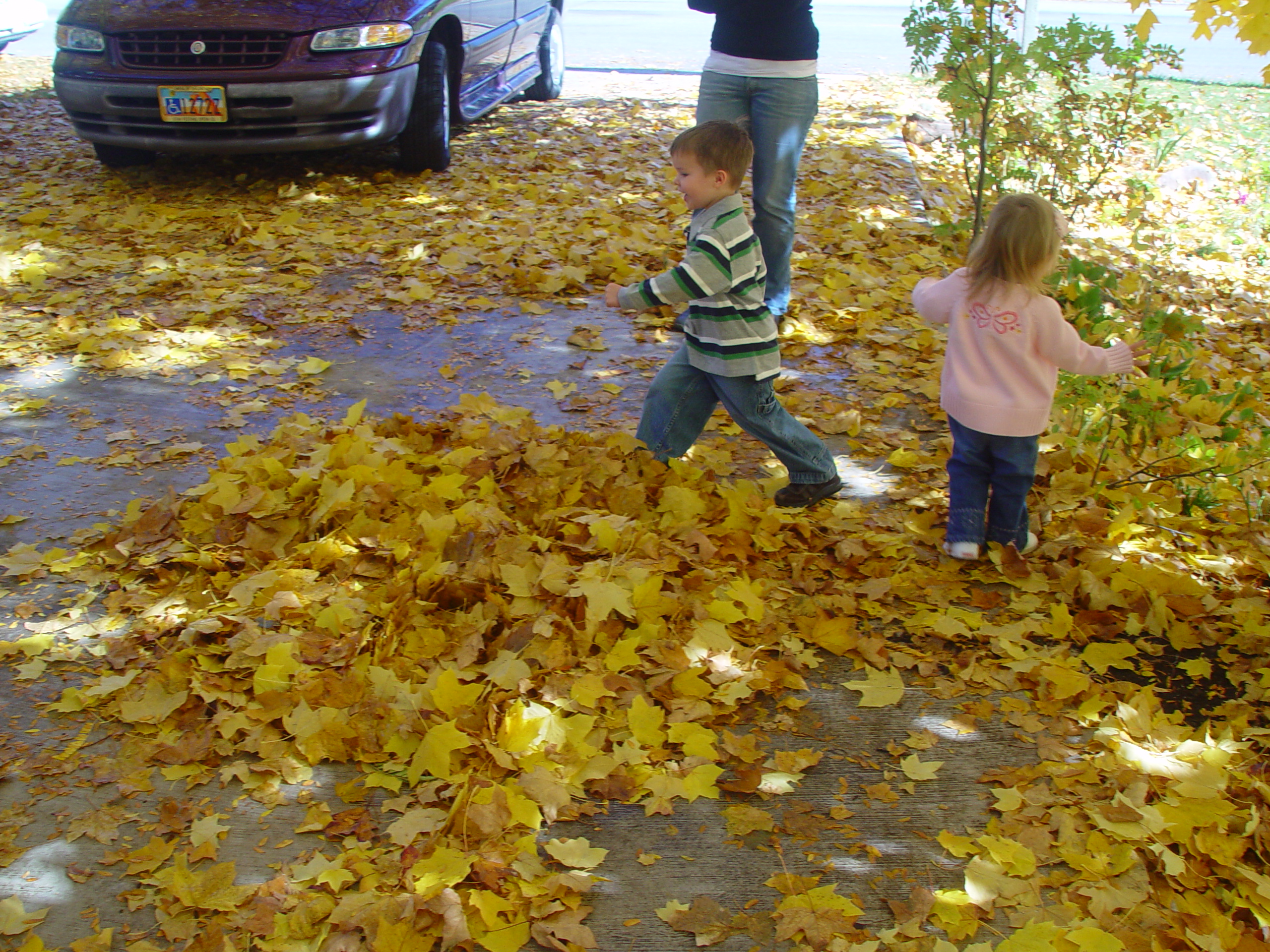 Playing in the Leaves, The Pumpkin Walk (North Logan, Utah)