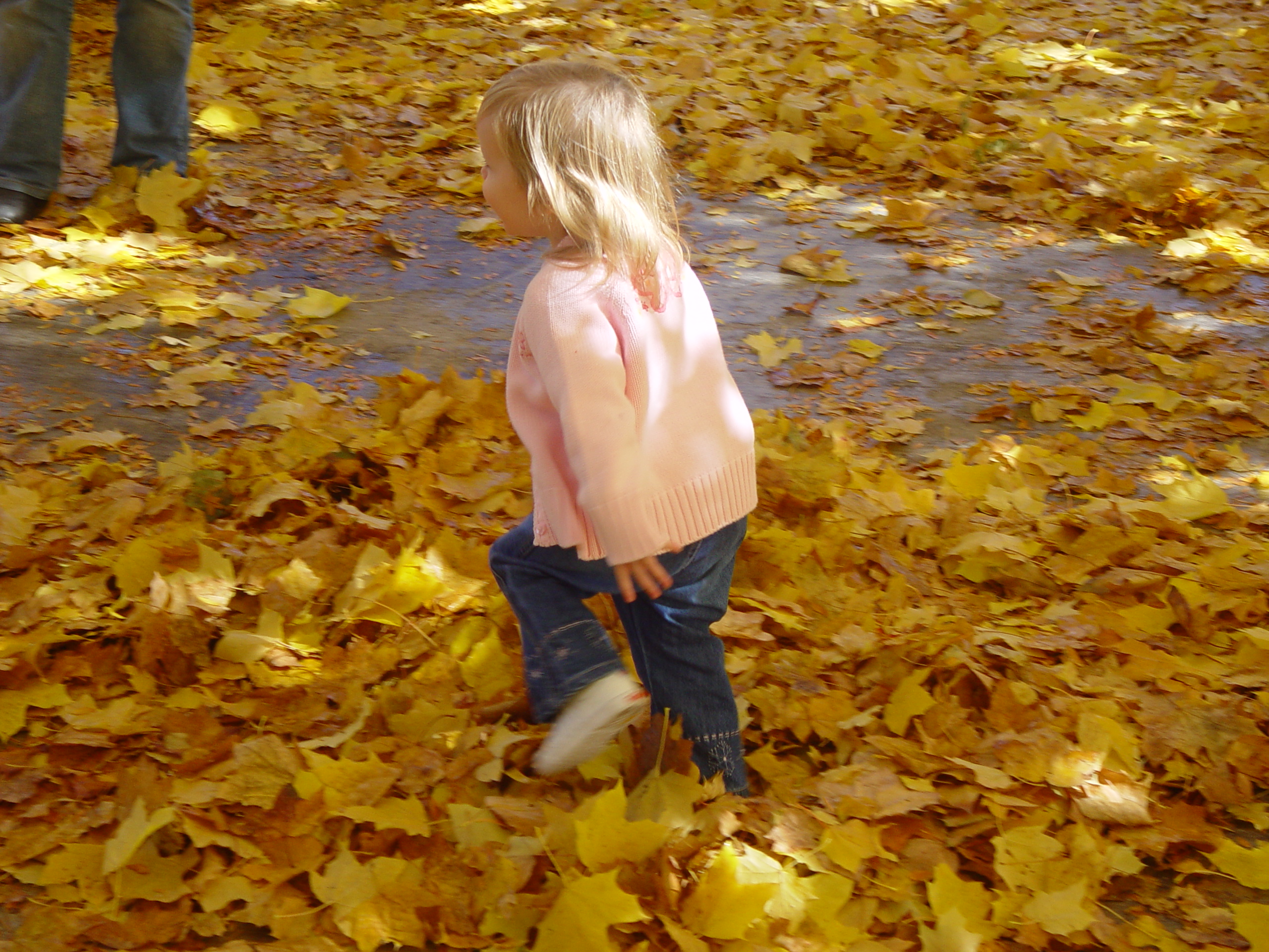 Playing in the Leaves, The Pumpkin Walk (North Logan, Utah)