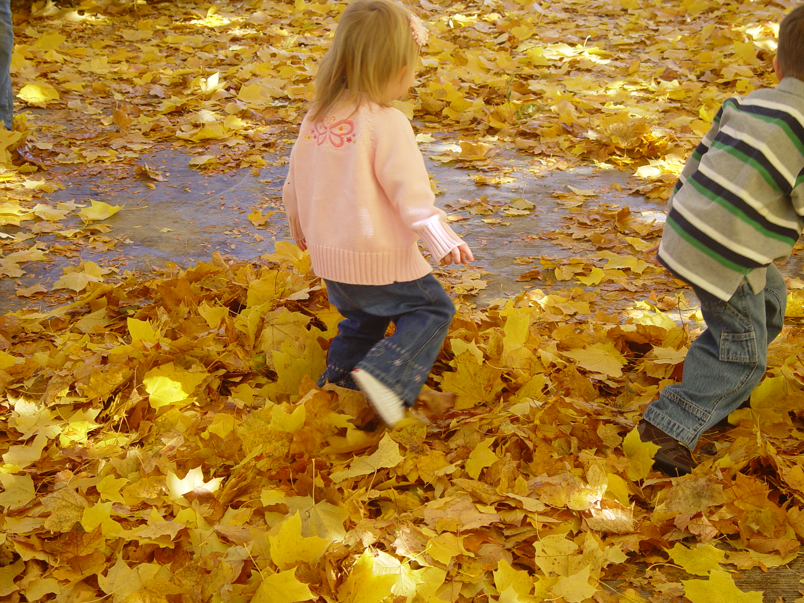 Playing in the Leaves, The Pumpkin Walk (North Logan, Utah)