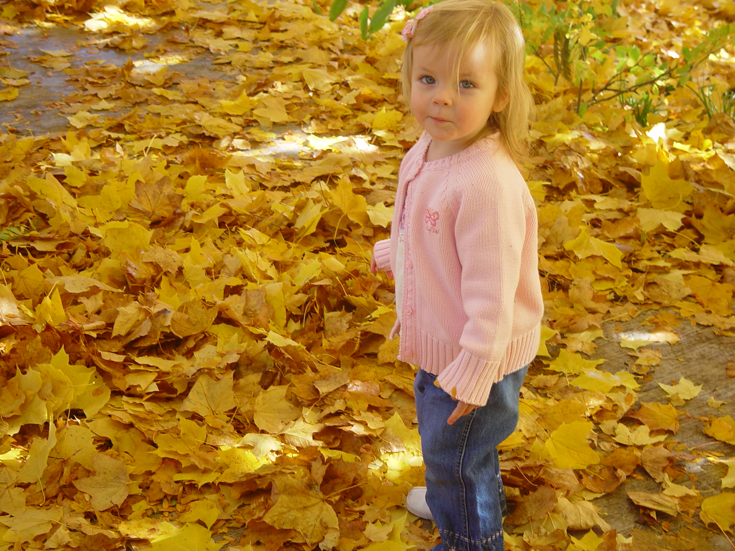 Playing in the Leaves, The Pumpkin Walk (North Logan, Utah)