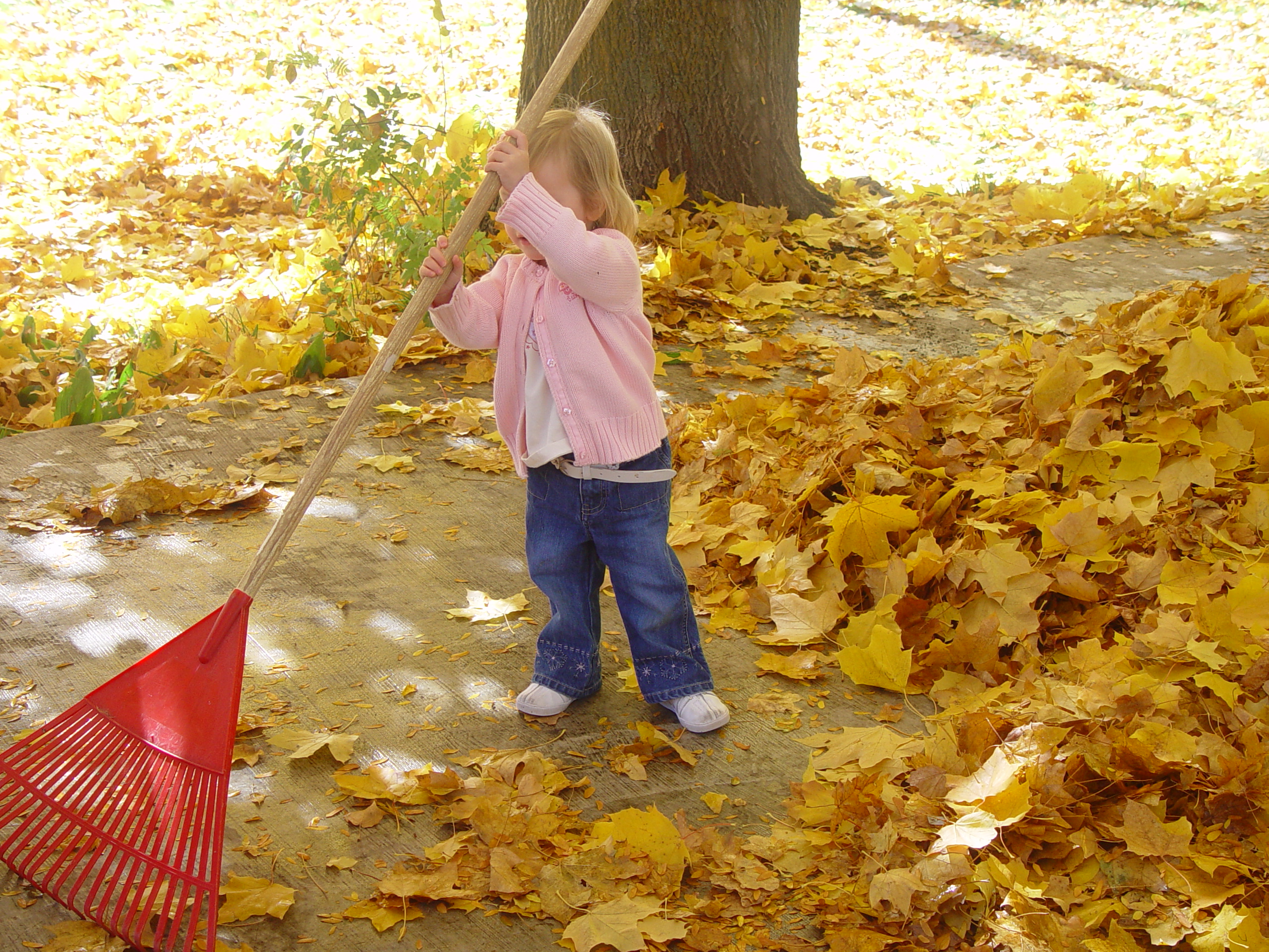 Playing in the Leaves, The Pumpkin Walk (North Logan, Utah)