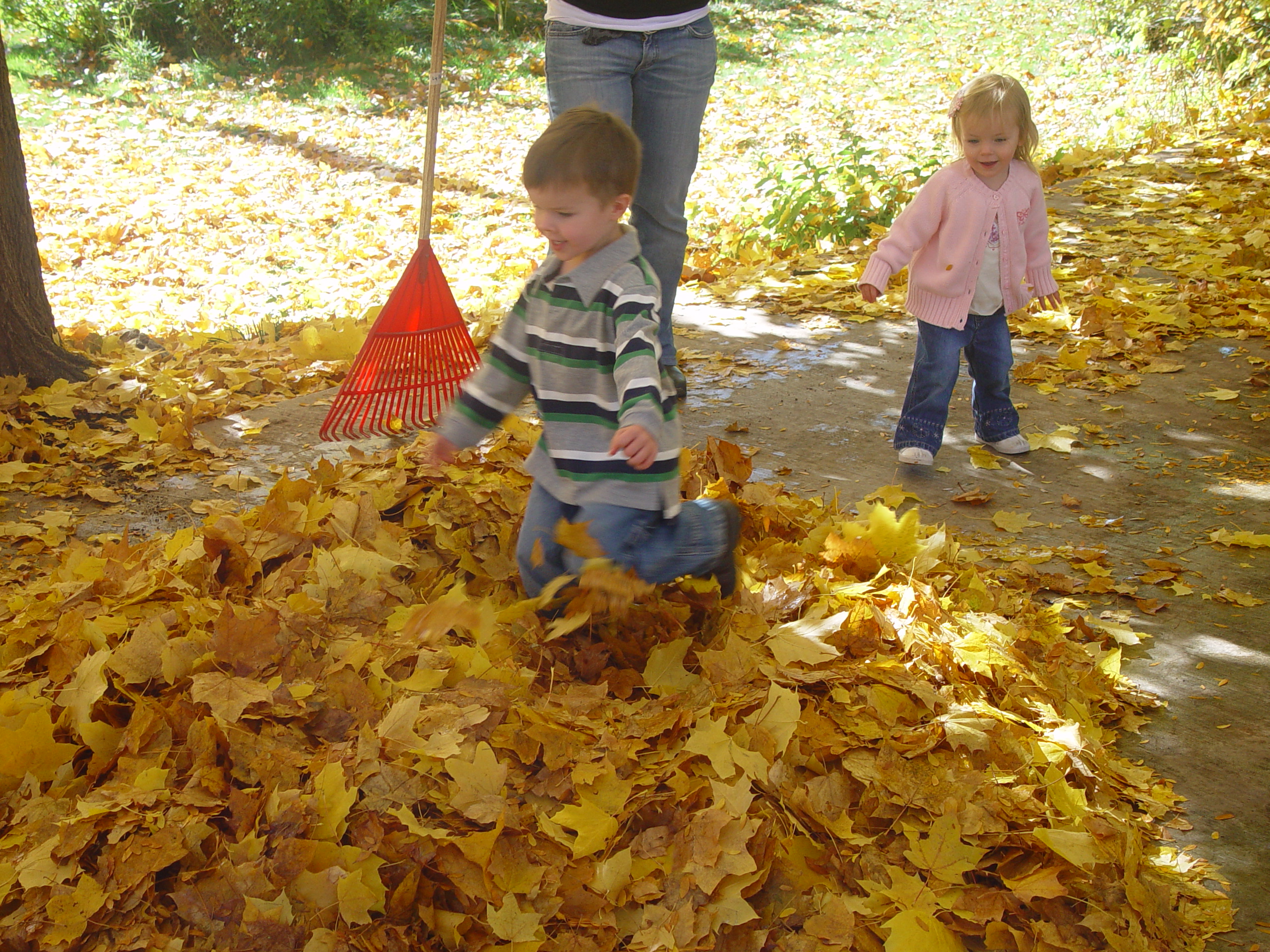 Playing in the Leaves, The Pumpkin Walk (North Logan, Utah)