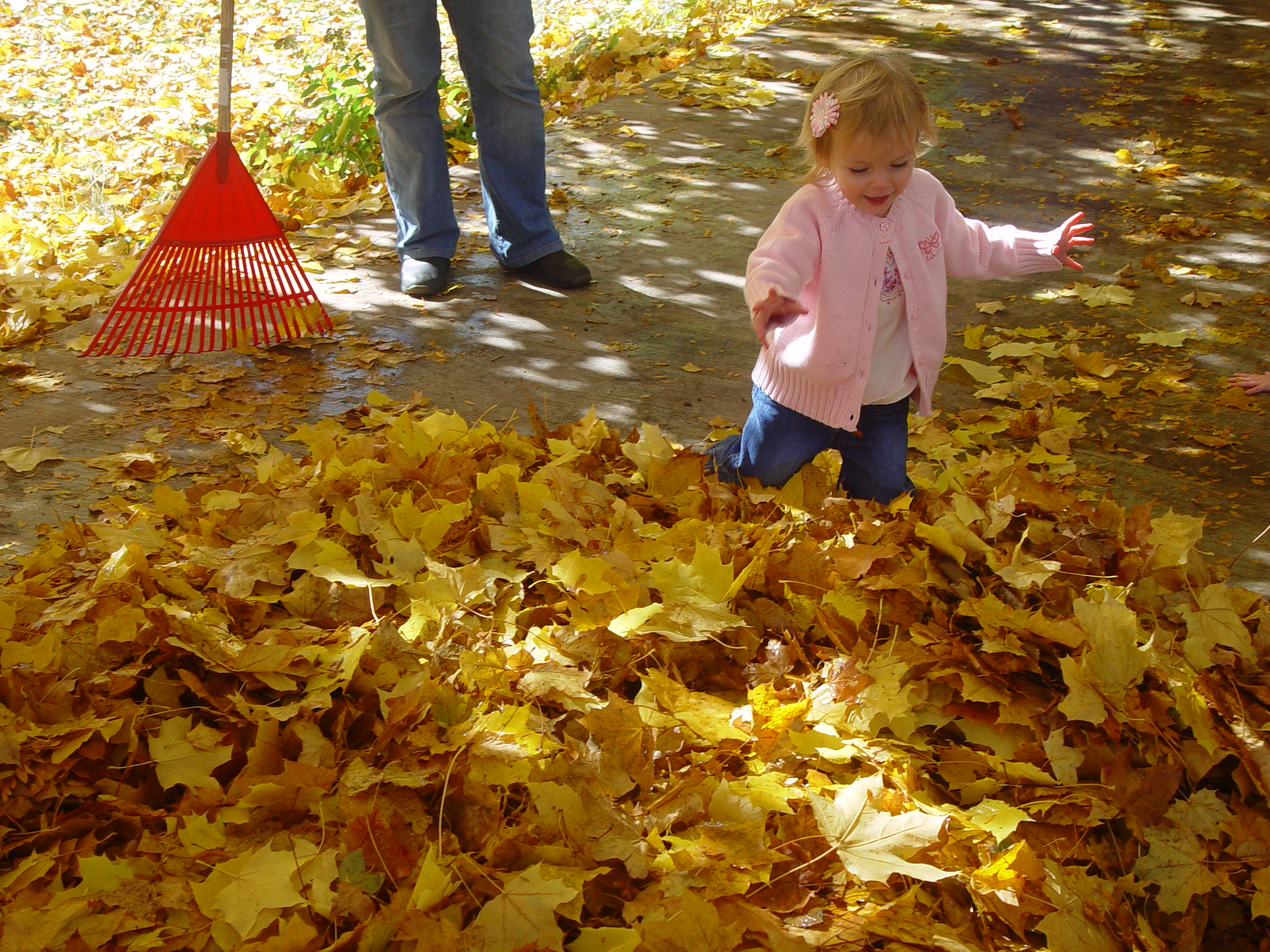 Playing in the Leaves, The Pumpkin Walk (North Logan, Utah)