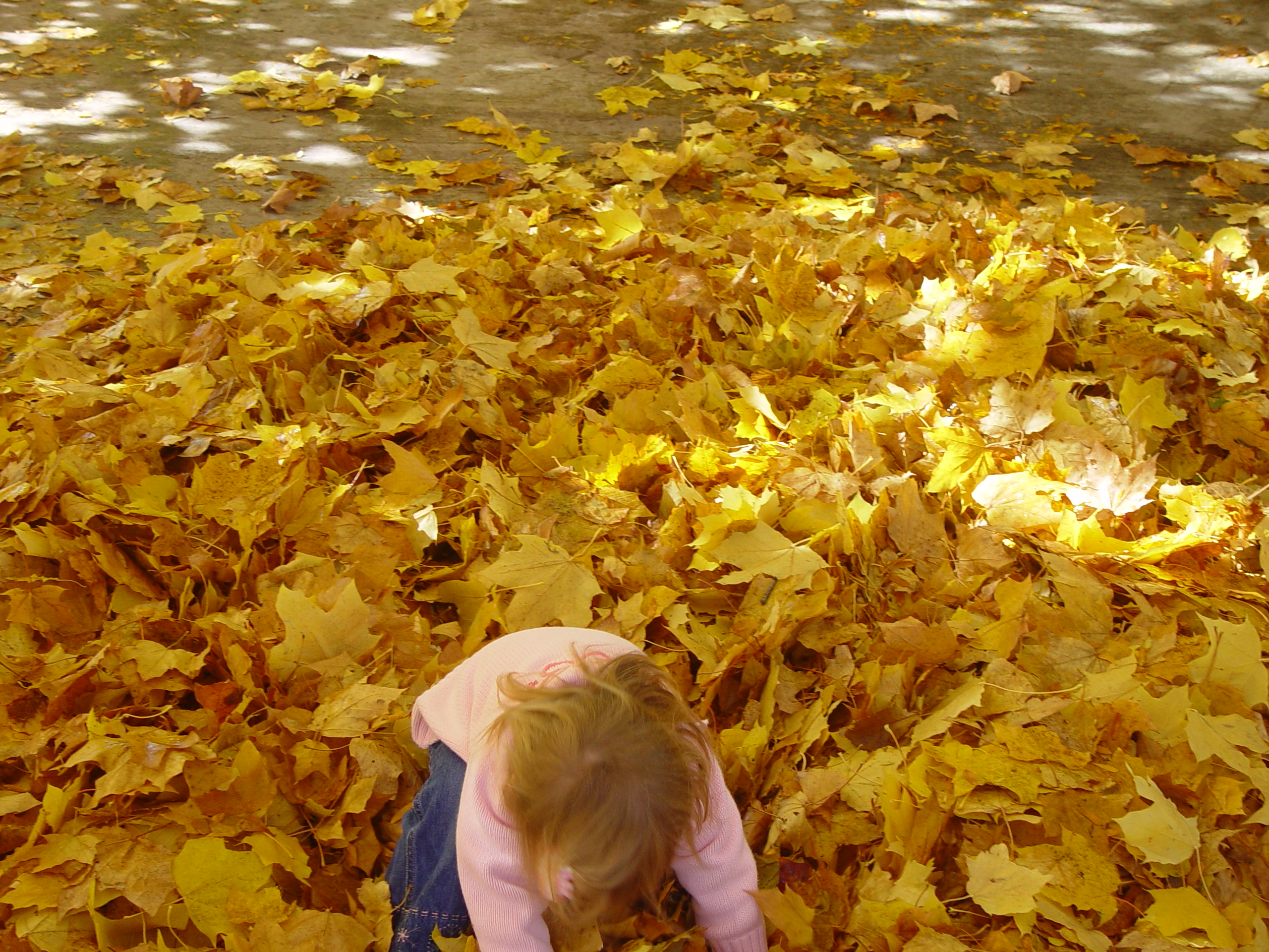 Playing in the Leaves, The Pumpkin Walk (North Logan, Utah)