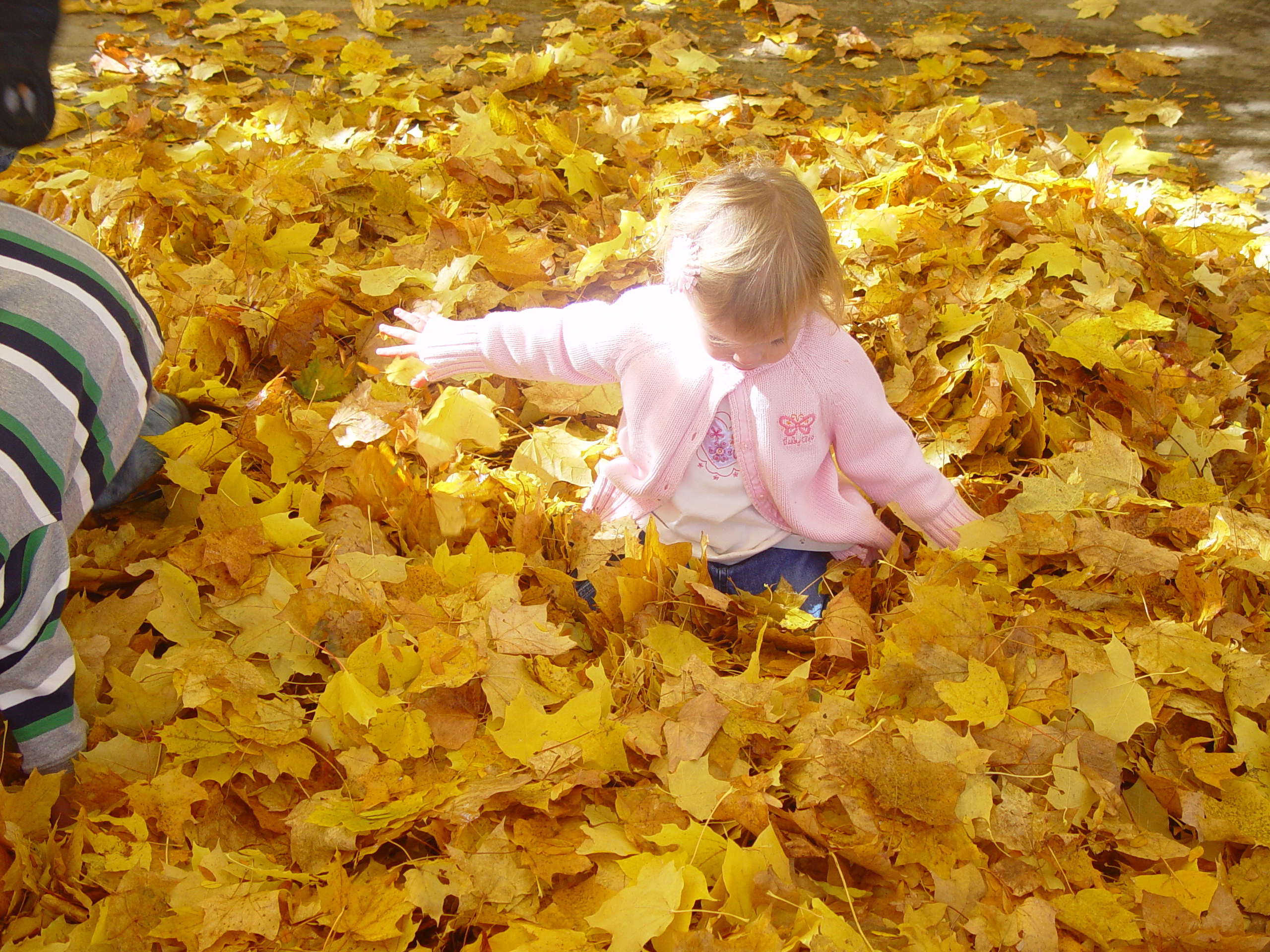 Playing in the Leaves, The Pumpkin Walk (North Logan, Utah)