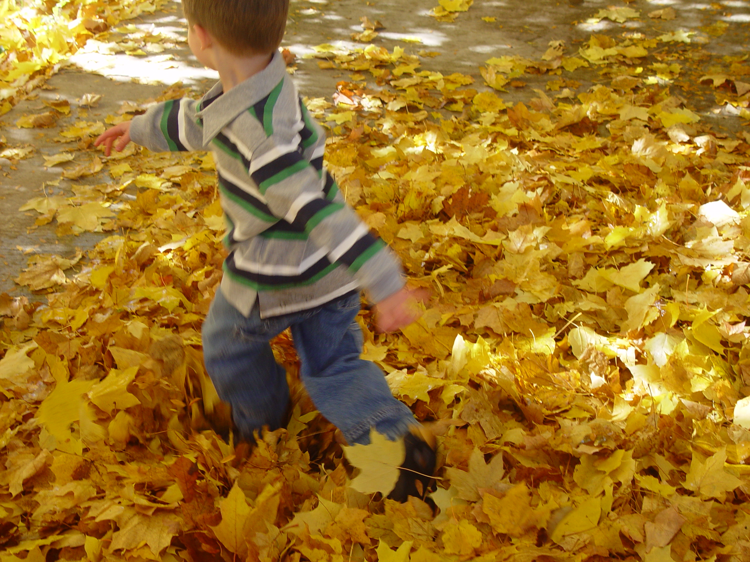 Playing in the Leaves, The Pumpkin Walk (North Logan, Utah)