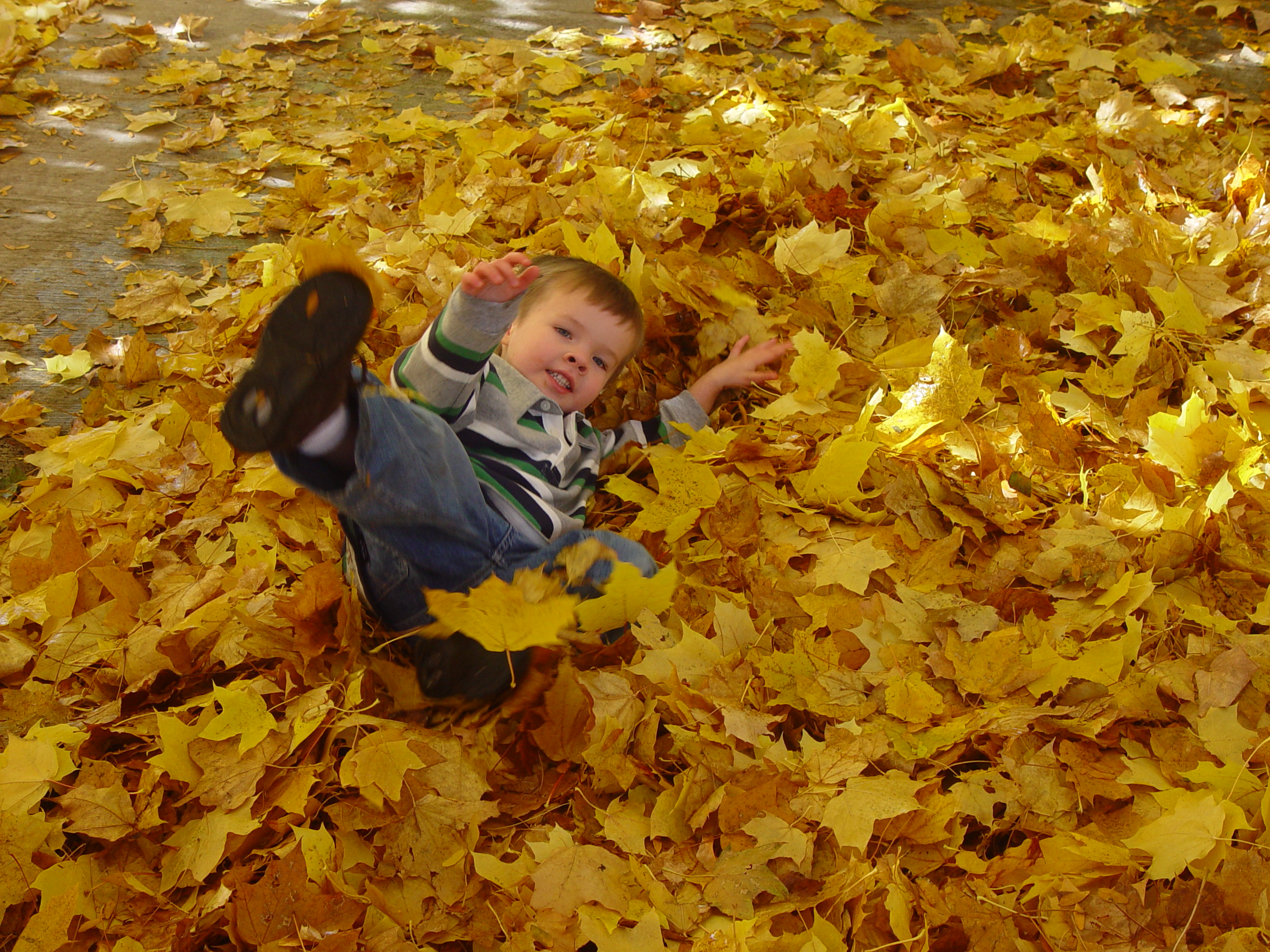 Playing in the Leaves, The Pumpkin Walk (North Logan, Utah)